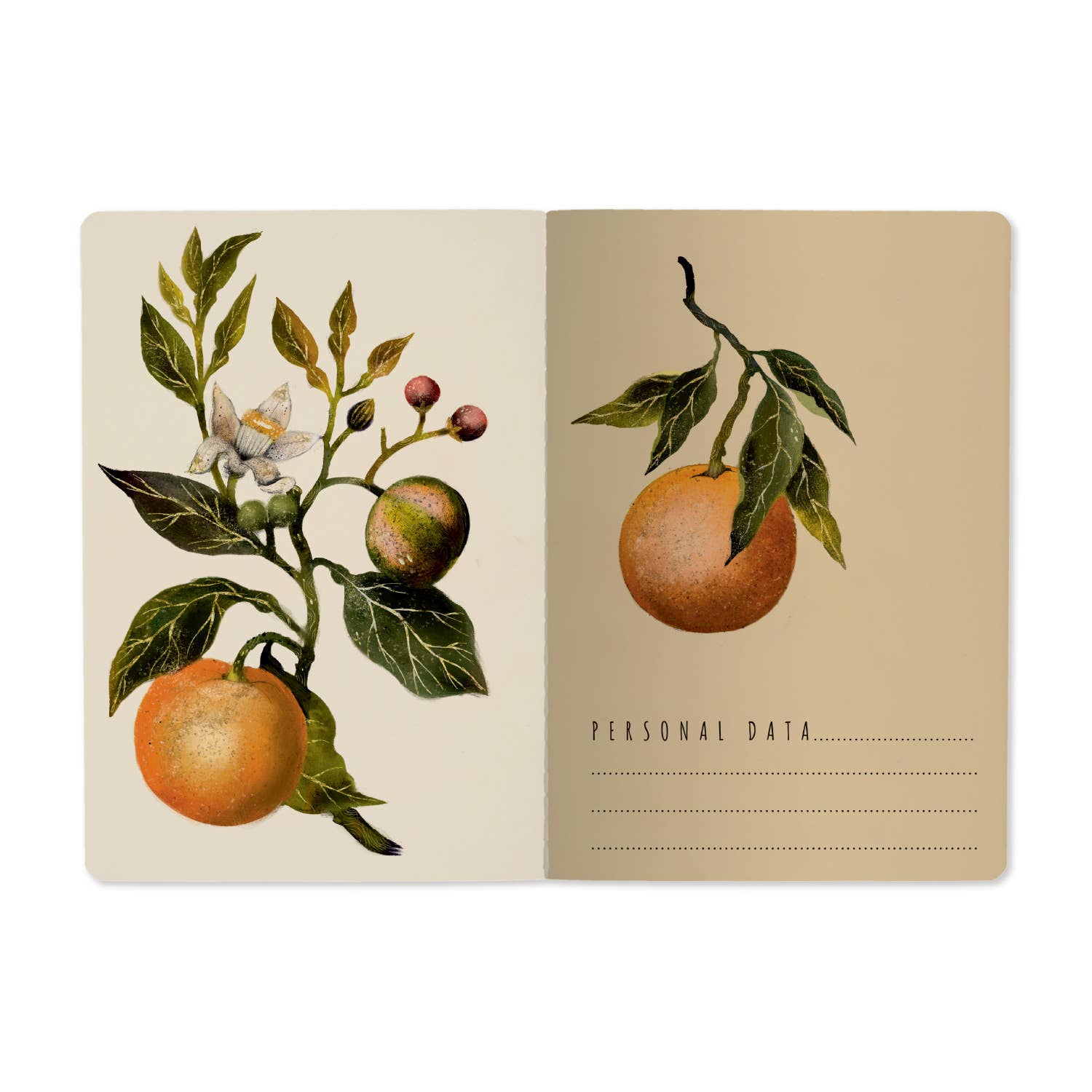 Oranges and Blossoms A5 Notebook