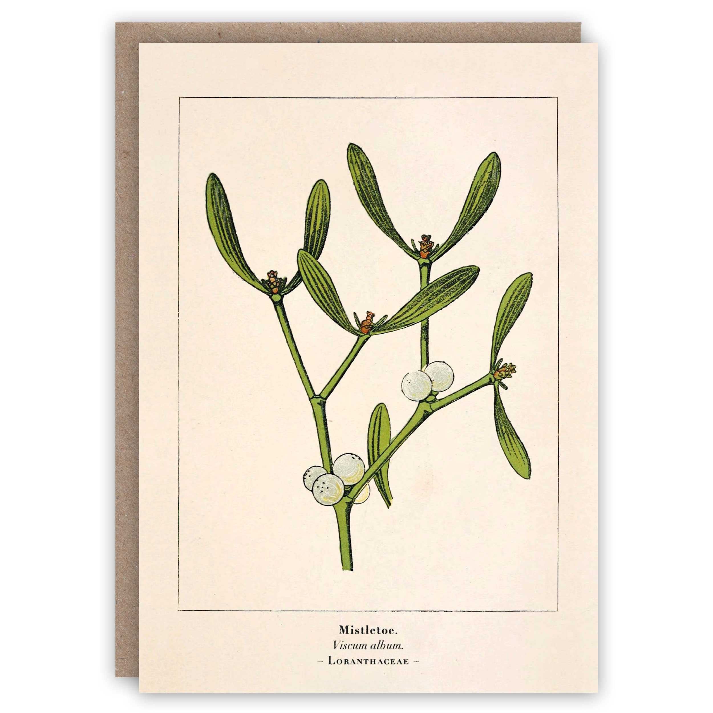 Mistletoe holiday card