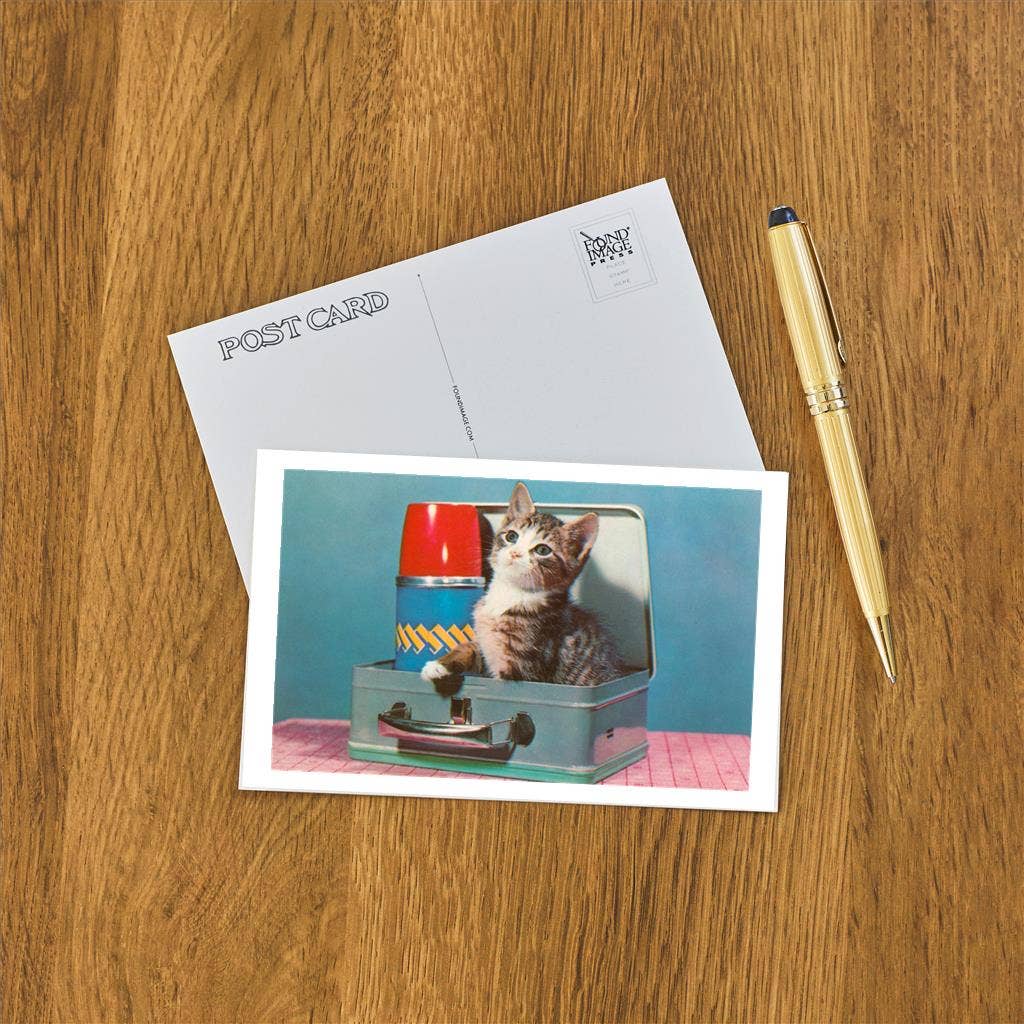Kitten in a Lunchbox Postcard