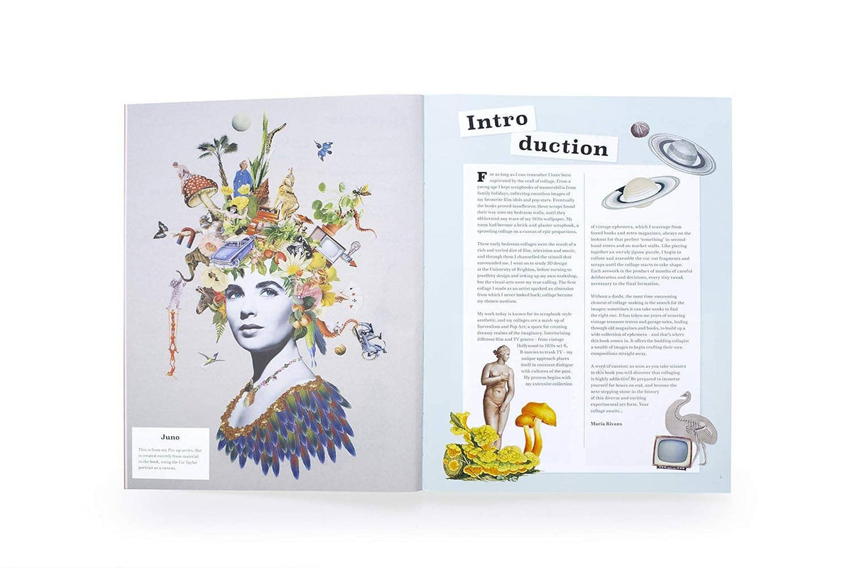 Extraordinary Things to Cut Out and Collage Book