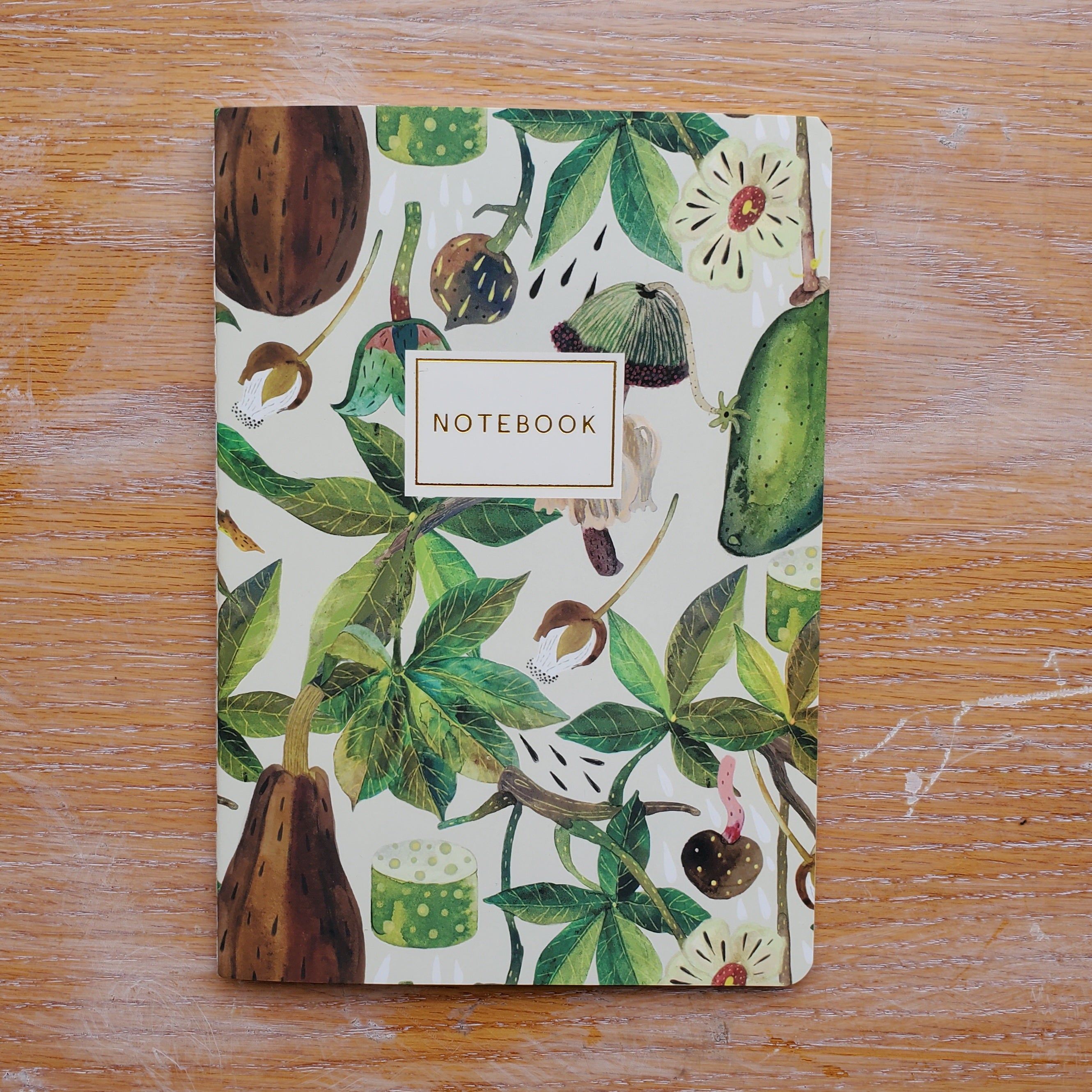 Baobab Tree Notebook