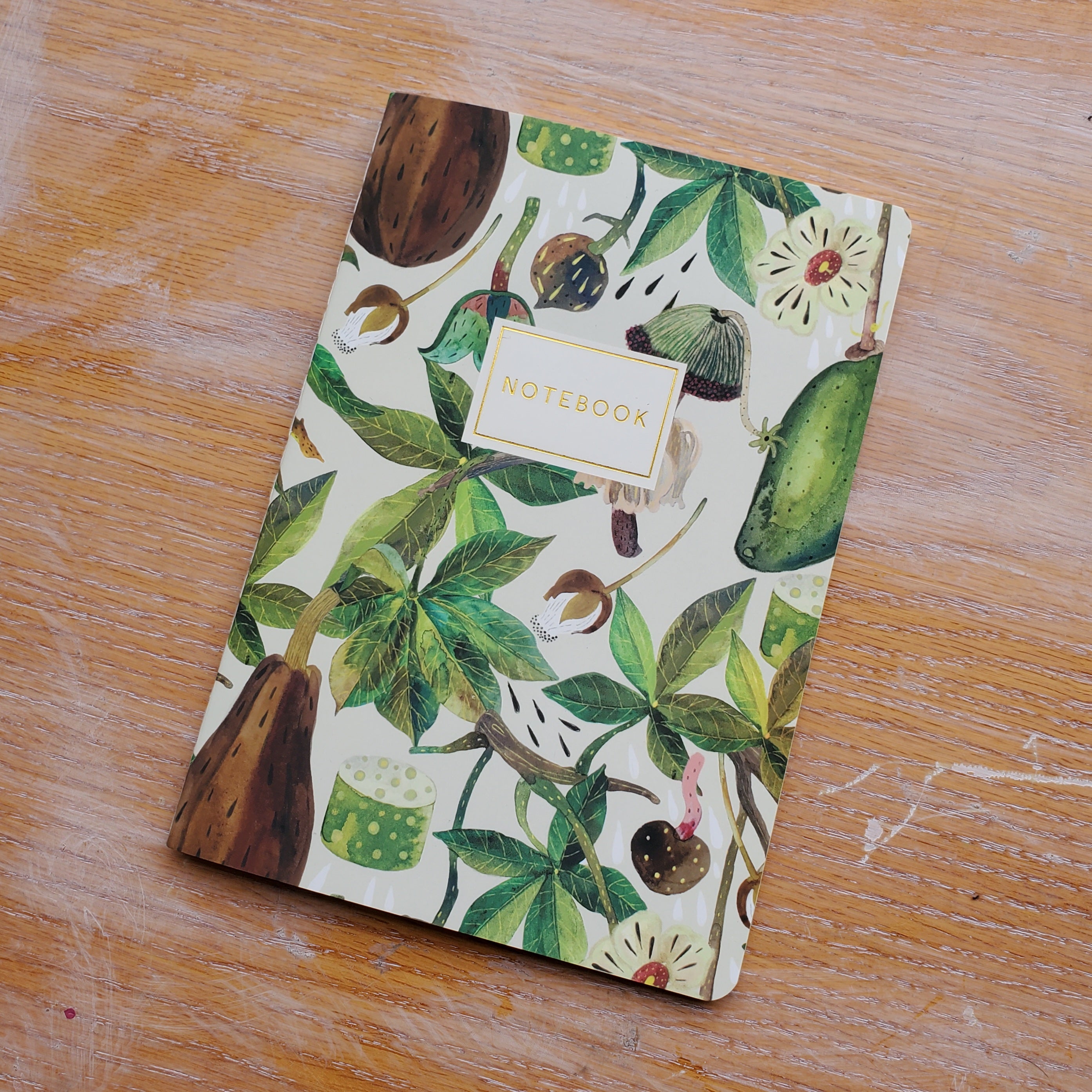 Baobab Tree Notebook