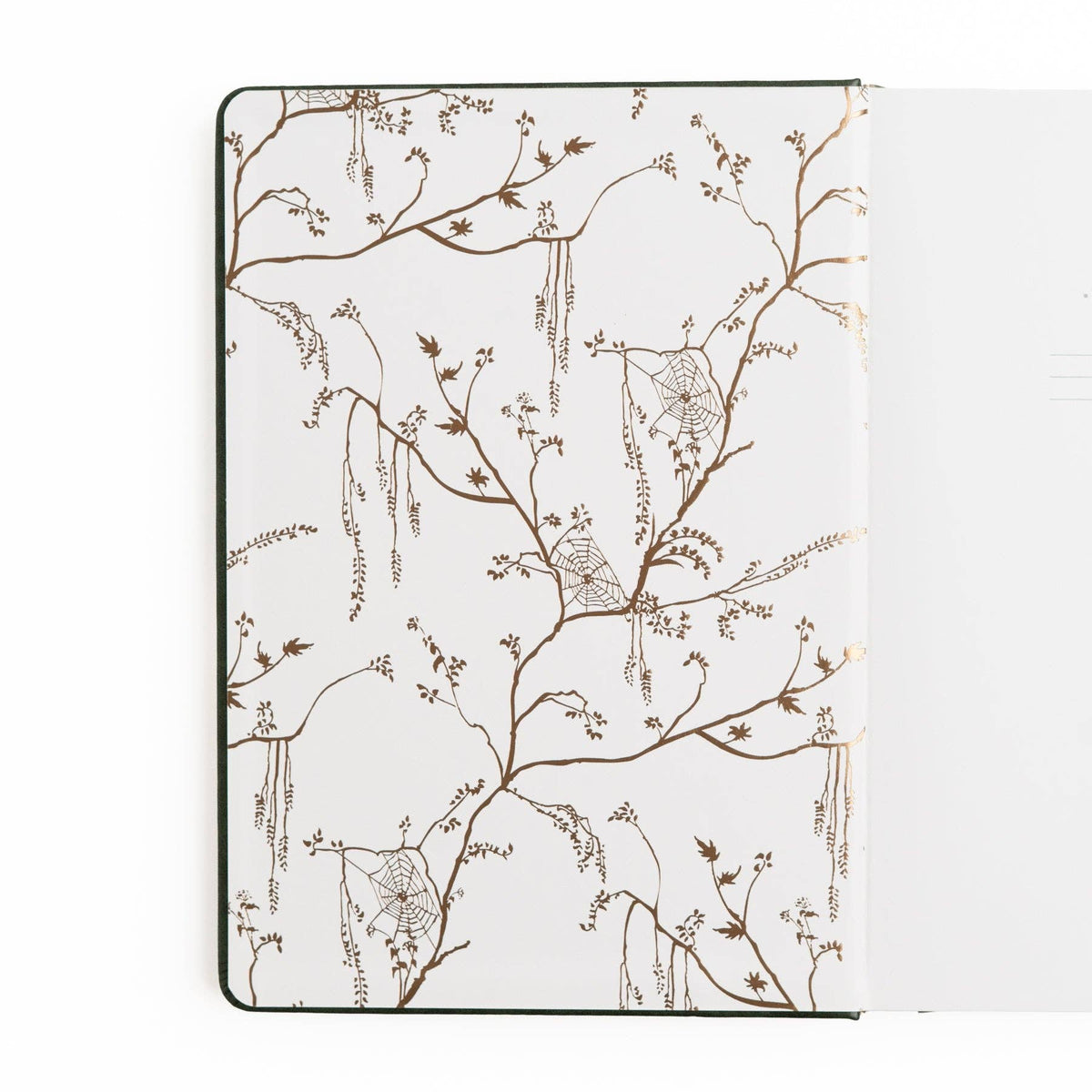 Apothecary Shelf Notebook / Dot Grid / A5