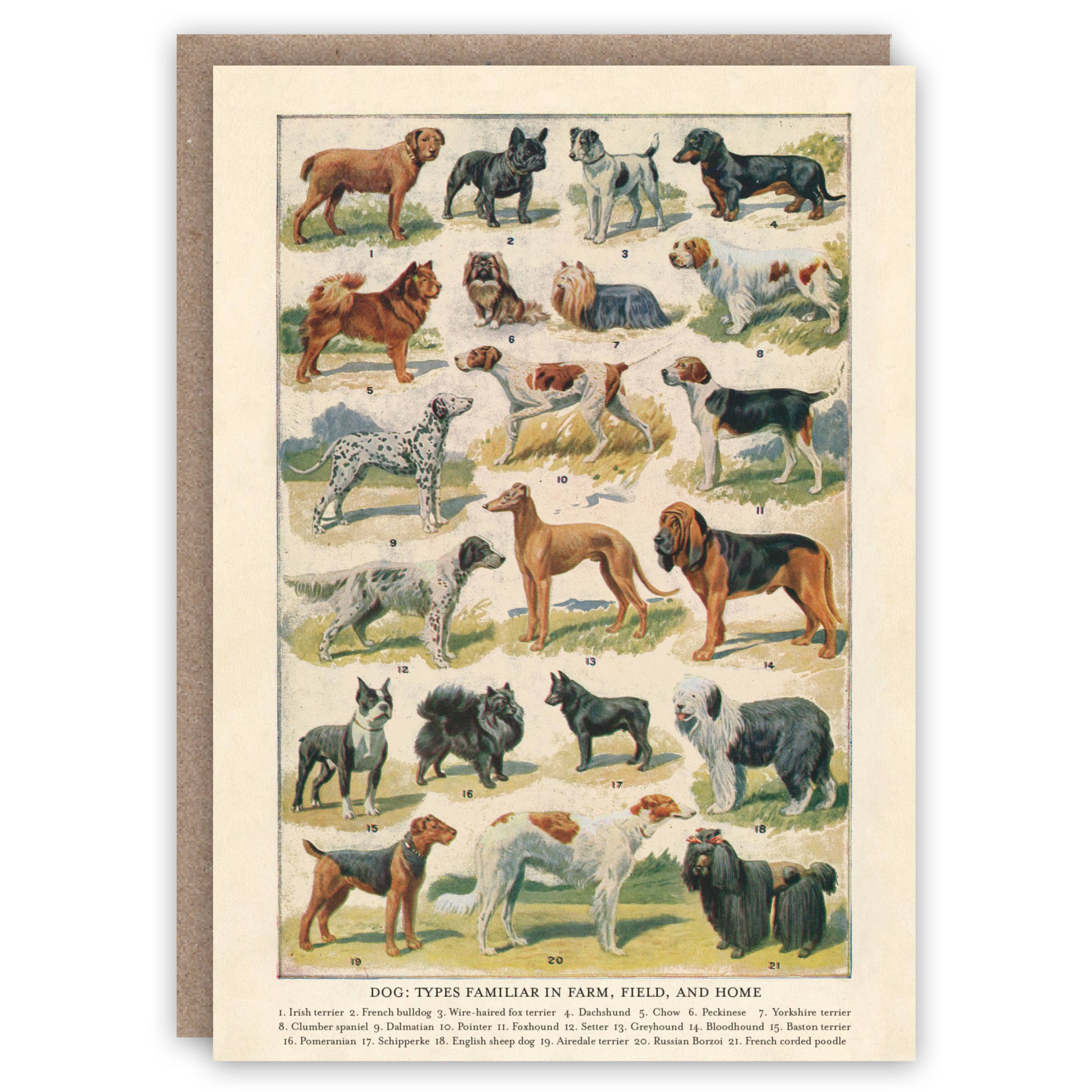 Dog Breeds greeting card