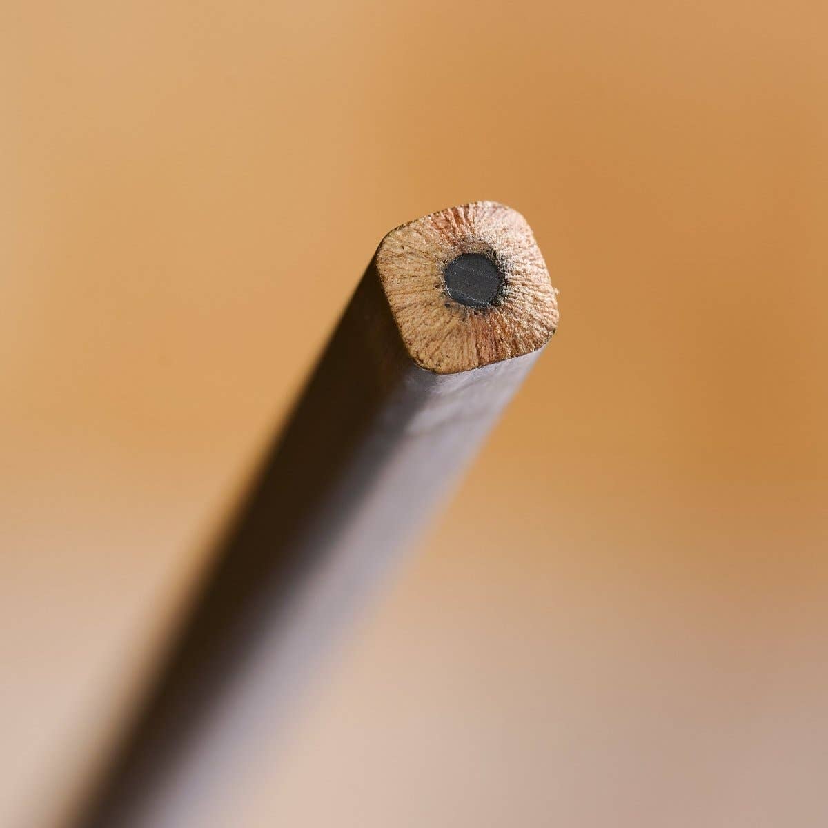 Blackwing Volume 21 Pencil Set
