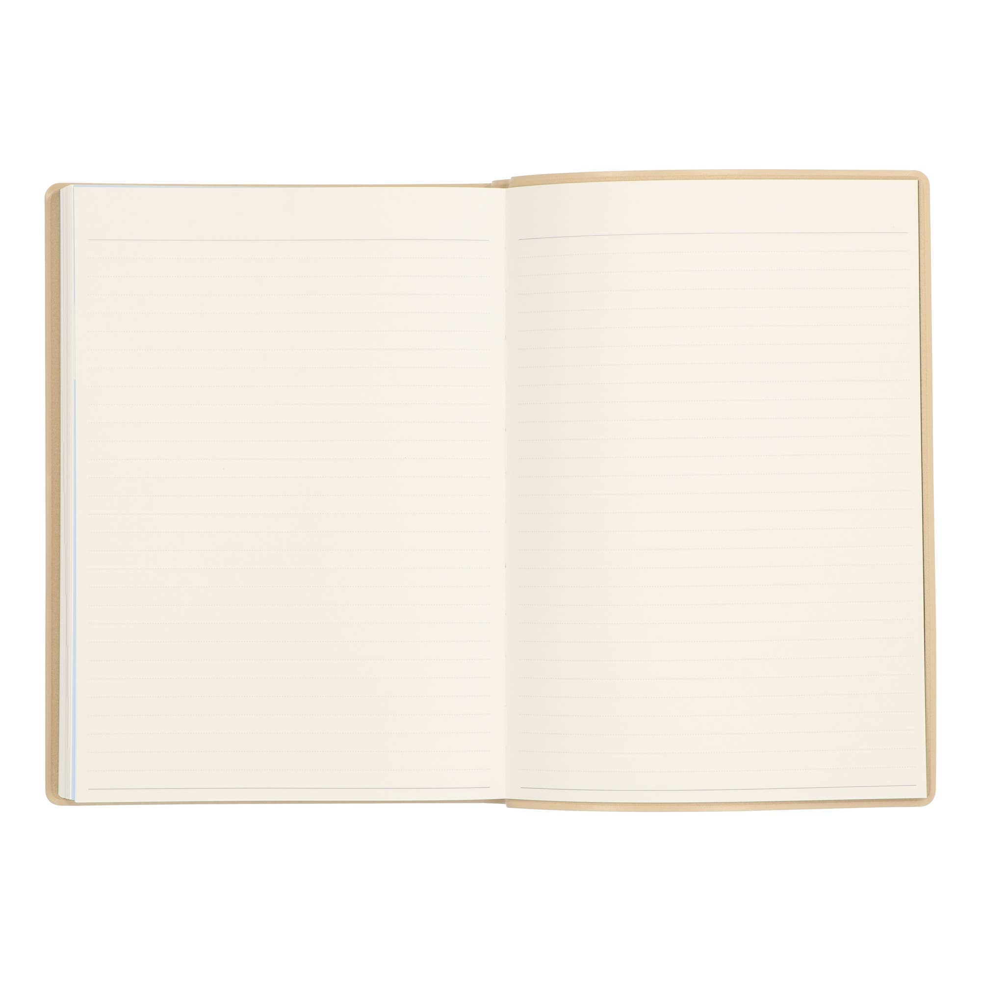 Undated Three Years Diary / Pink