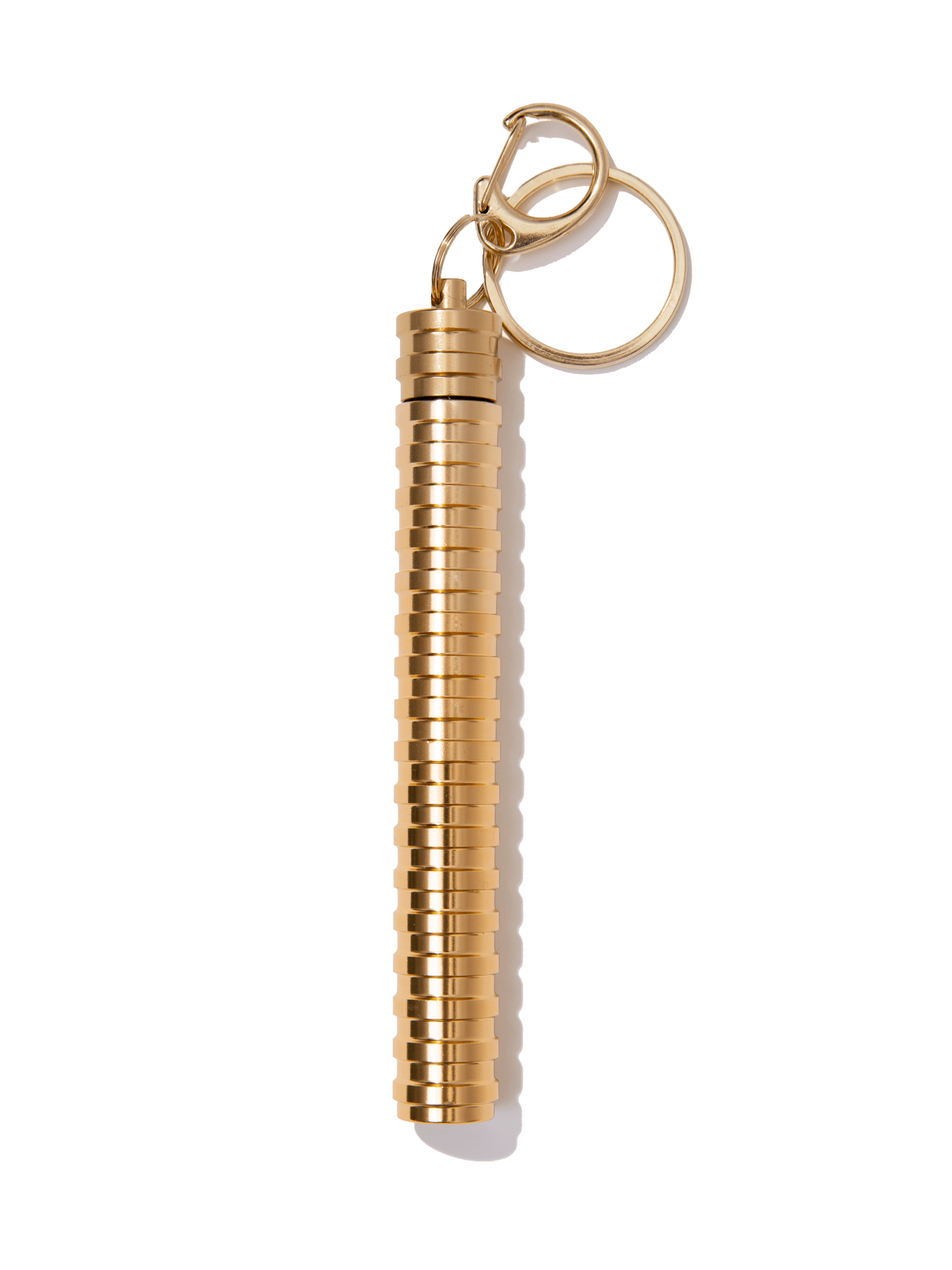 Carry Case Keychain / Gold + Silver