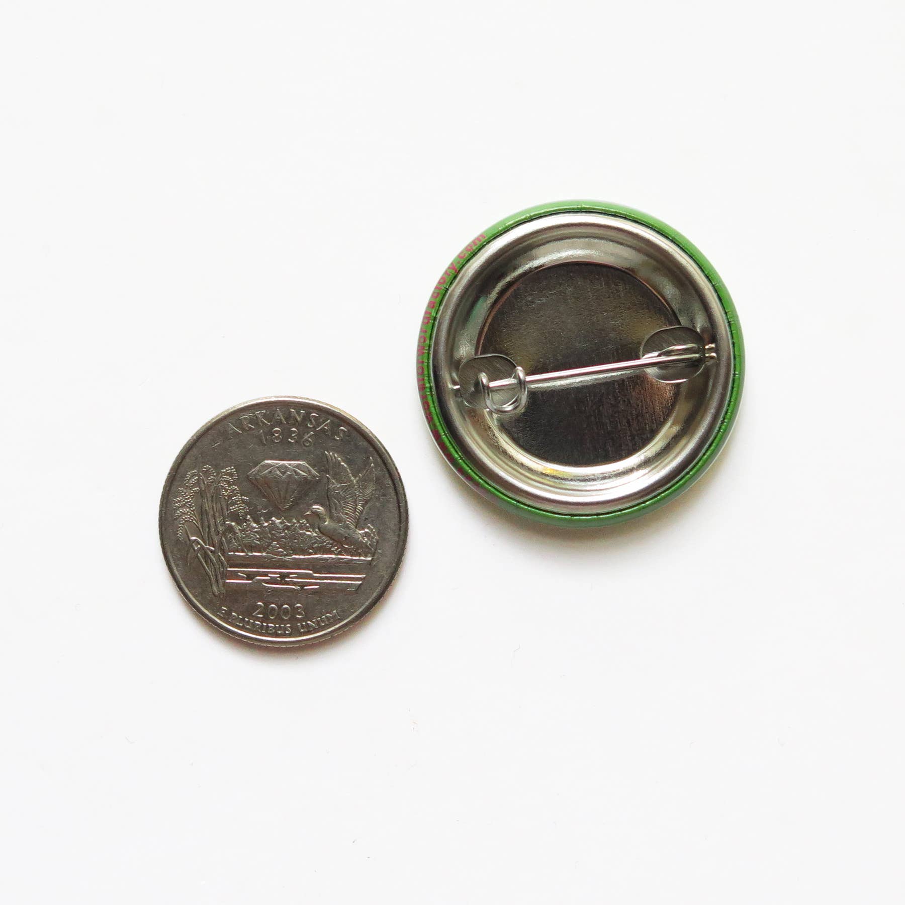 Climate Action Now Pinback Button