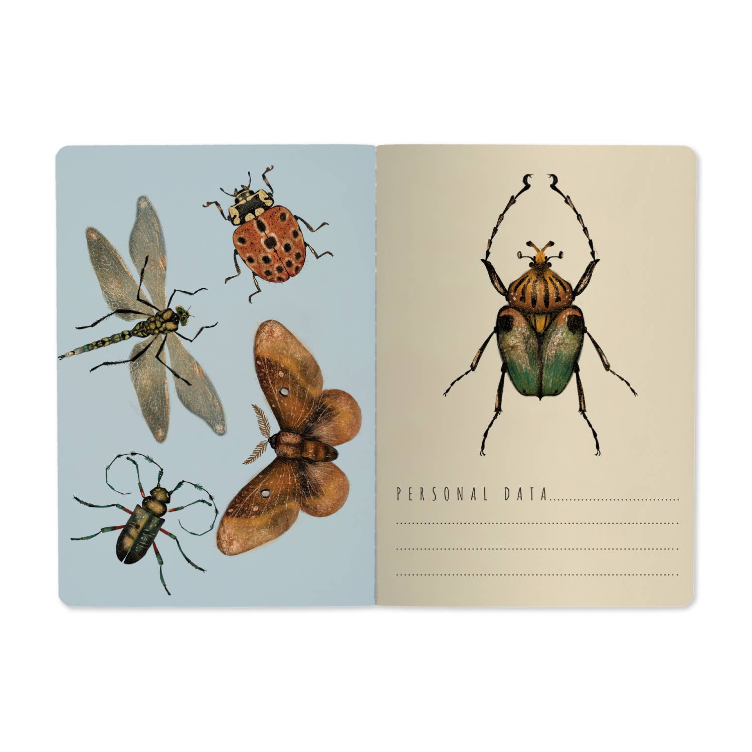 Entomology A5 Softcover Notebook
