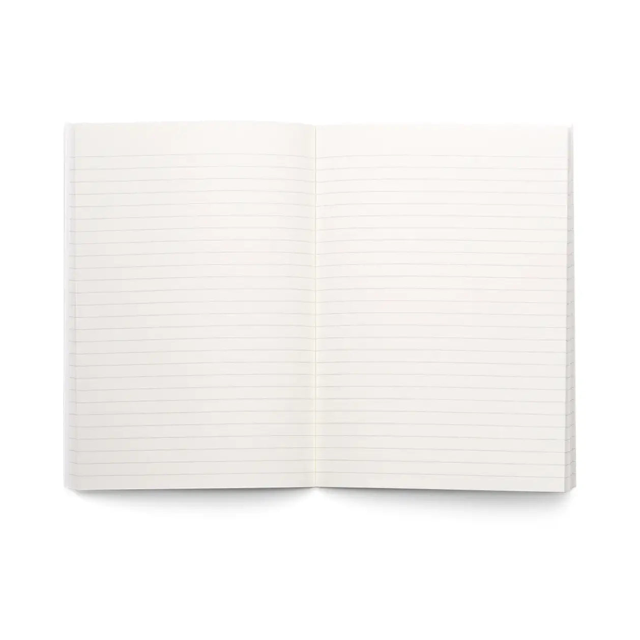 Have Fun Lined Notebook