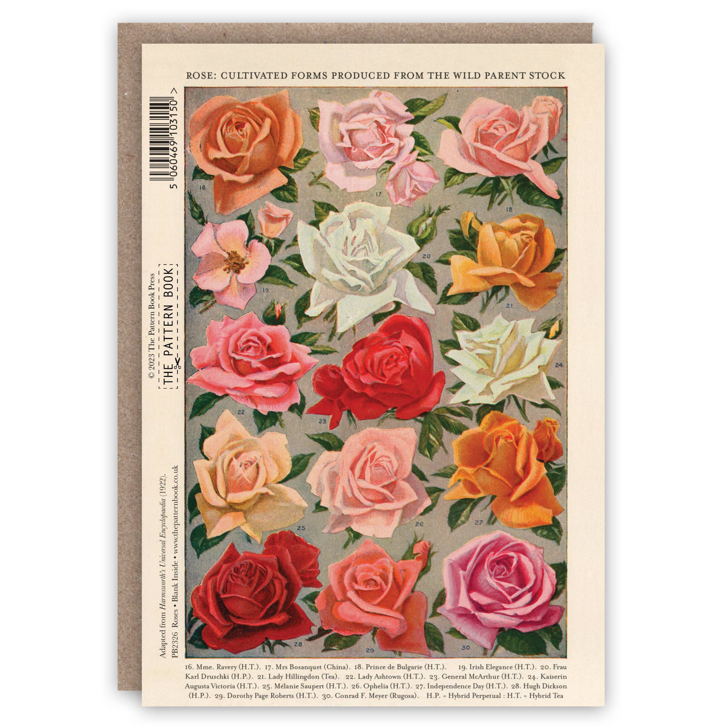 Roses greeting card