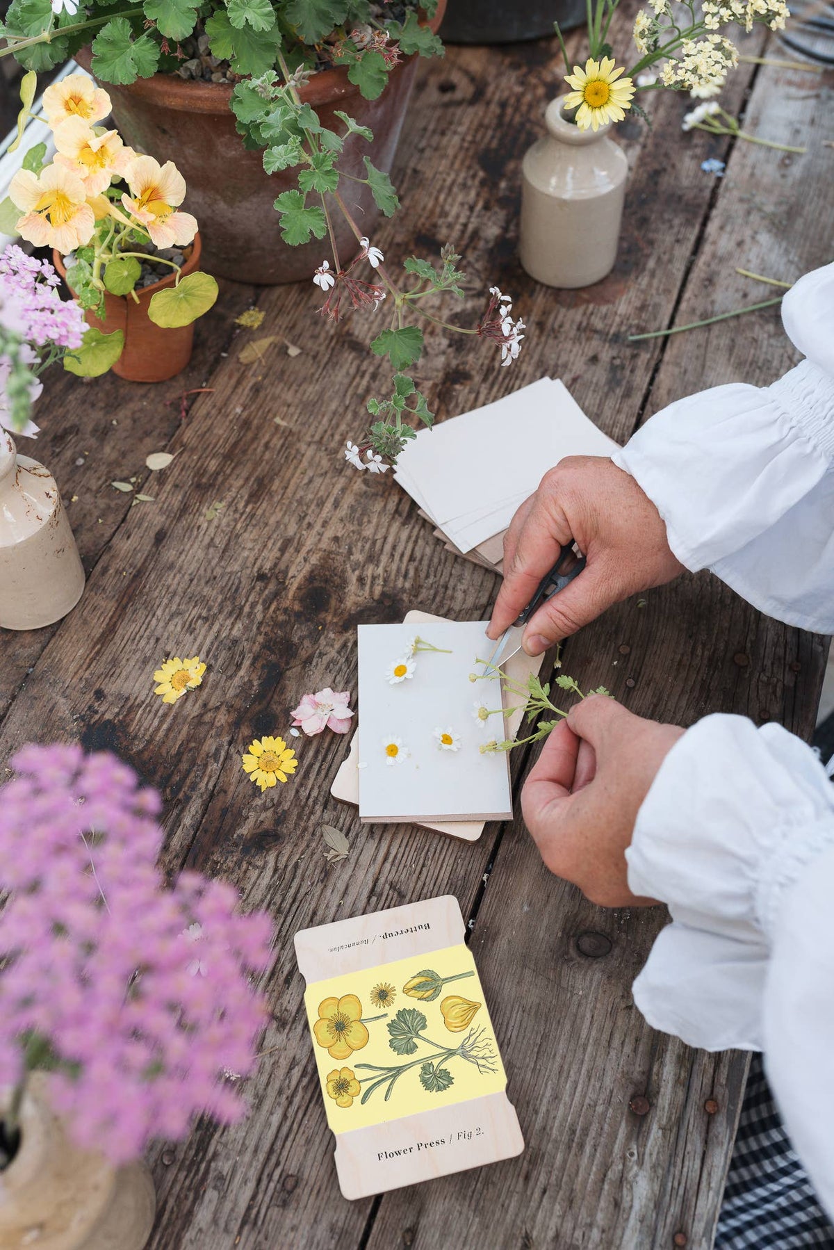 Pocket Flower Press / Vintage Buttercup