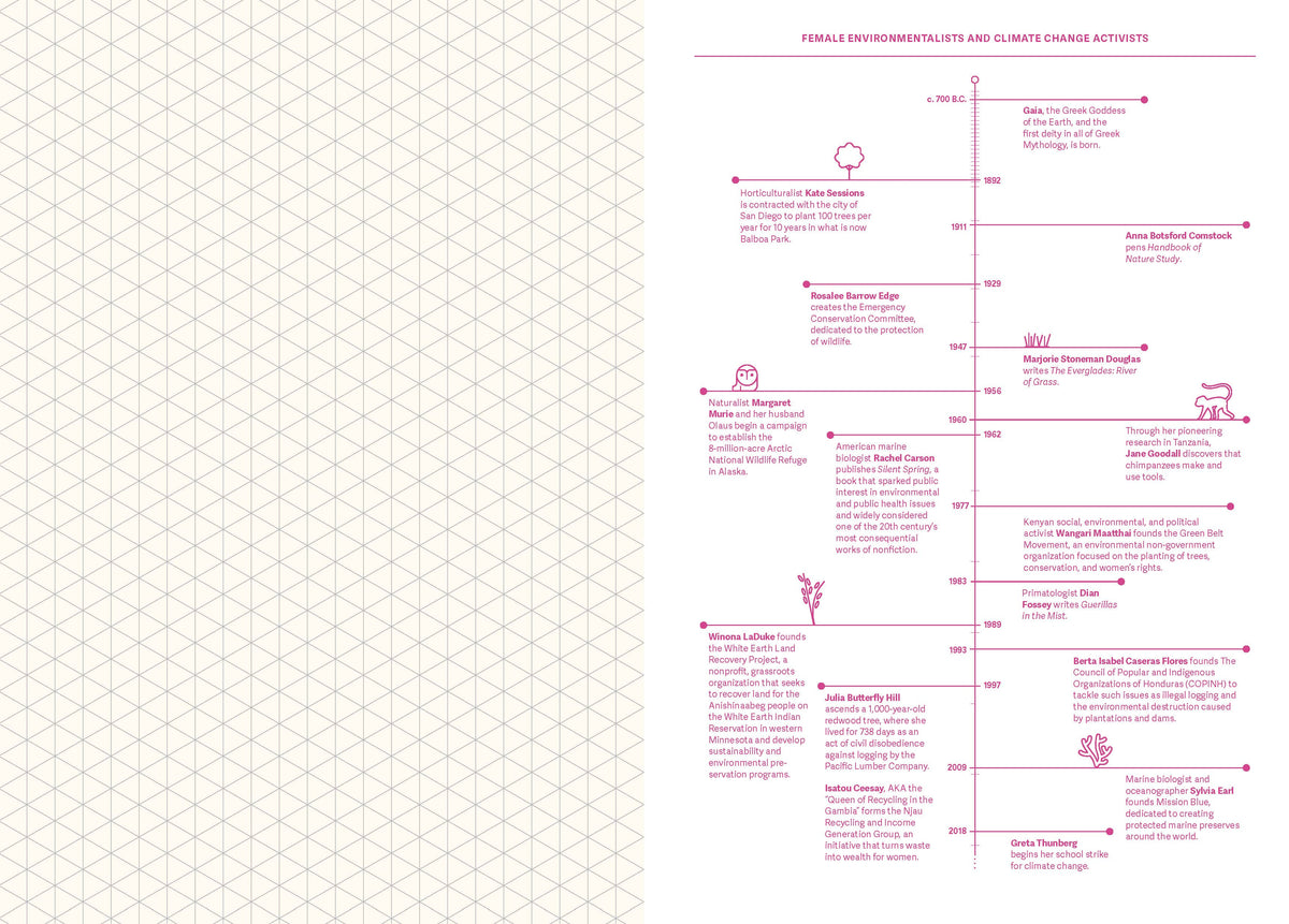 Grids & Guides (Pink)