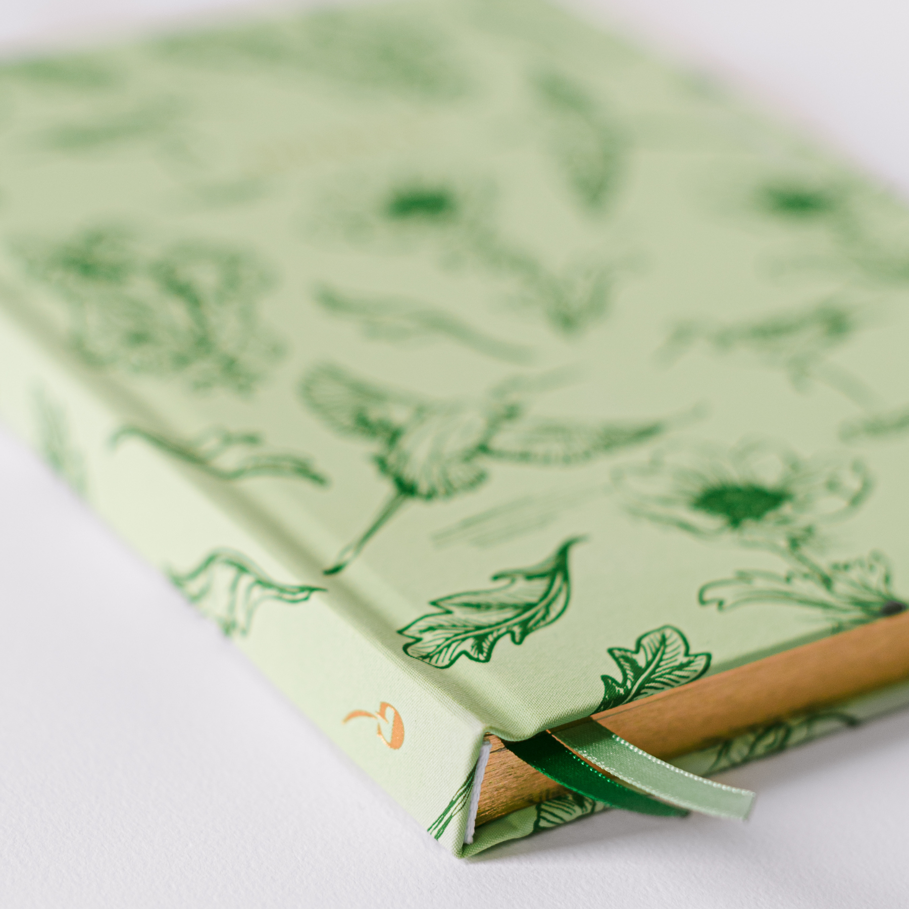 Green Botanical Bird Toile Journal