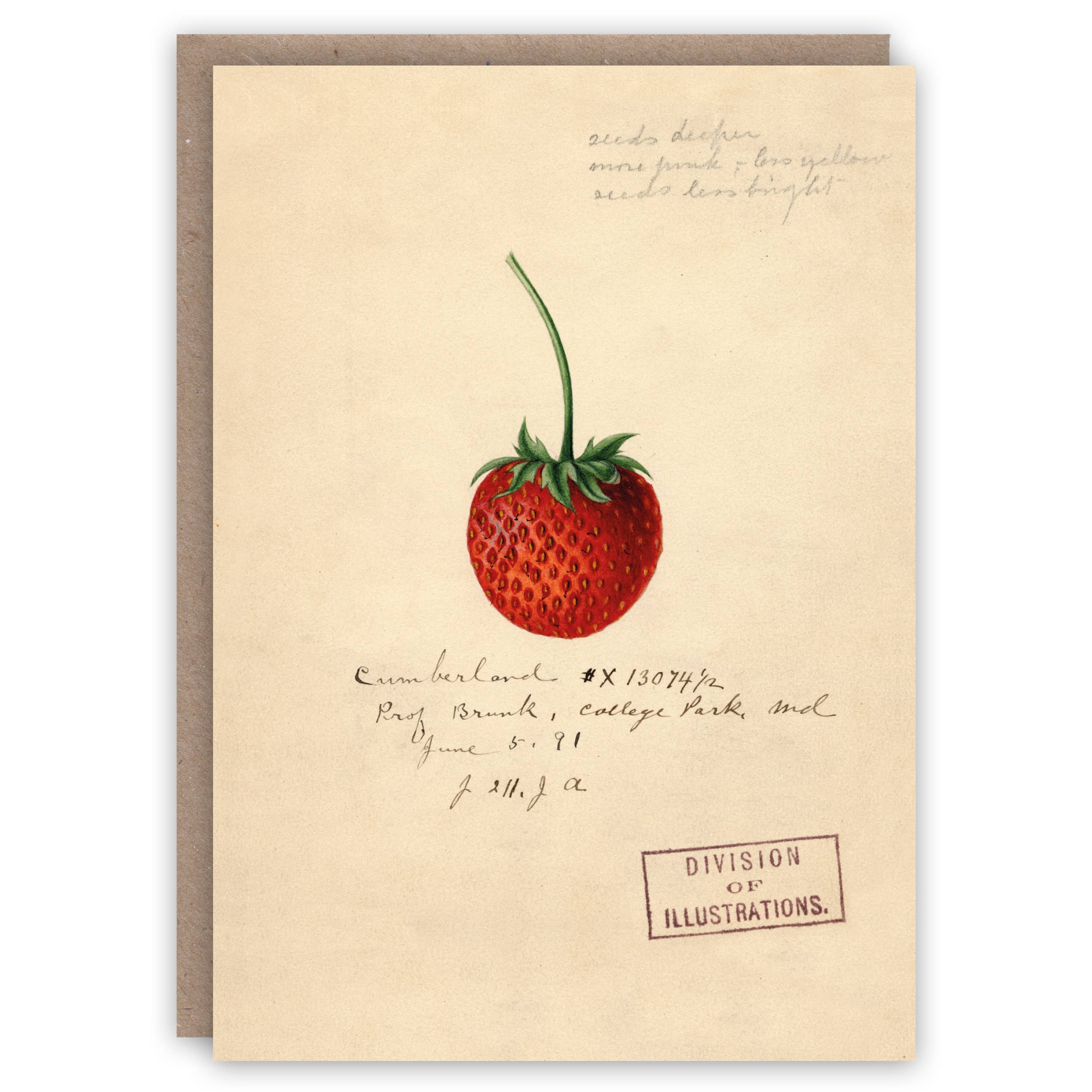 Strawberry greeting card