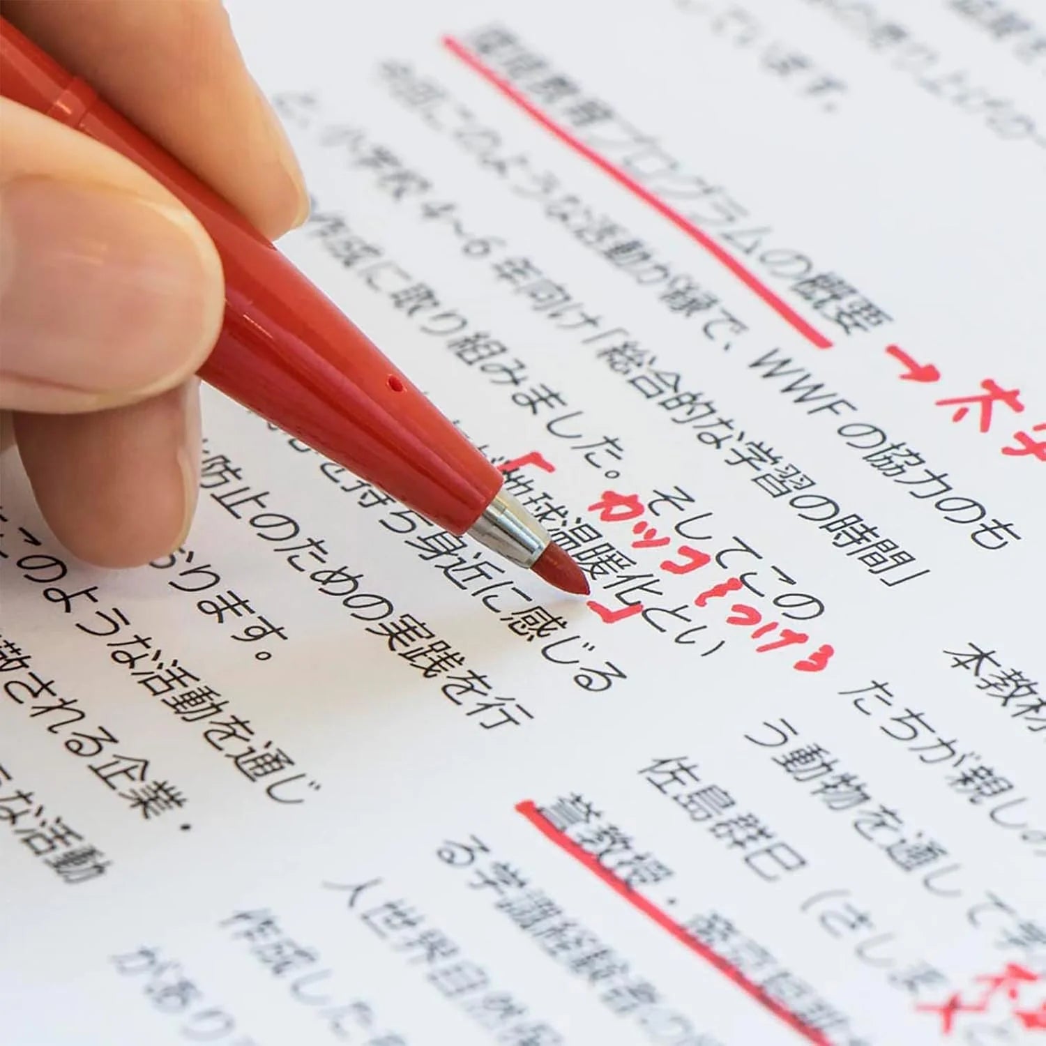 Pentel Brush Pens / 5 Color Set