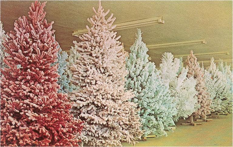 Flocked Christmas Trees Postcard