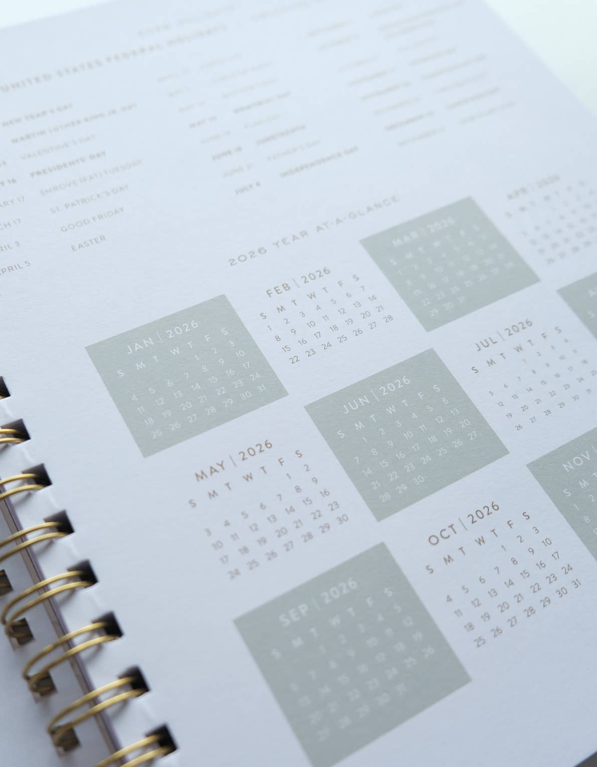 2026 Softcover Planner / Primary Blooms