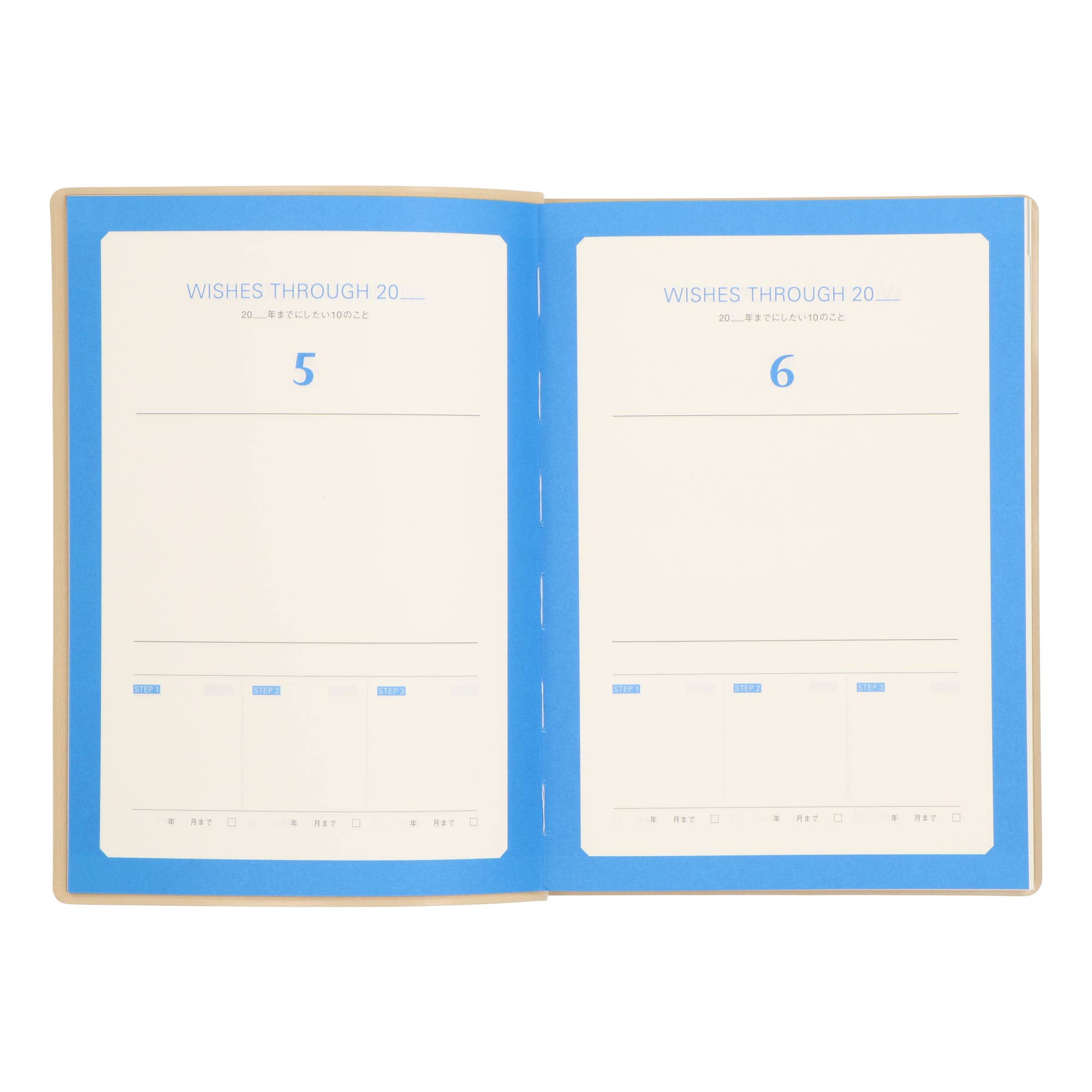 Undated Three Years Diary / Pink