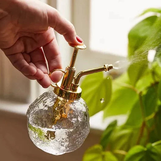 Glass Plant Mister