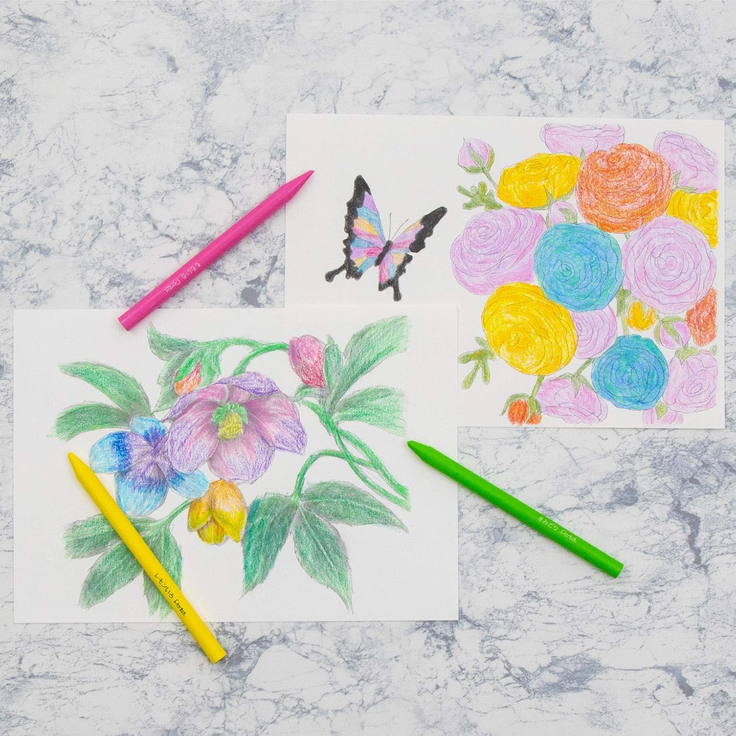 Pentel Elementary School Colored Pencils / 15 colors