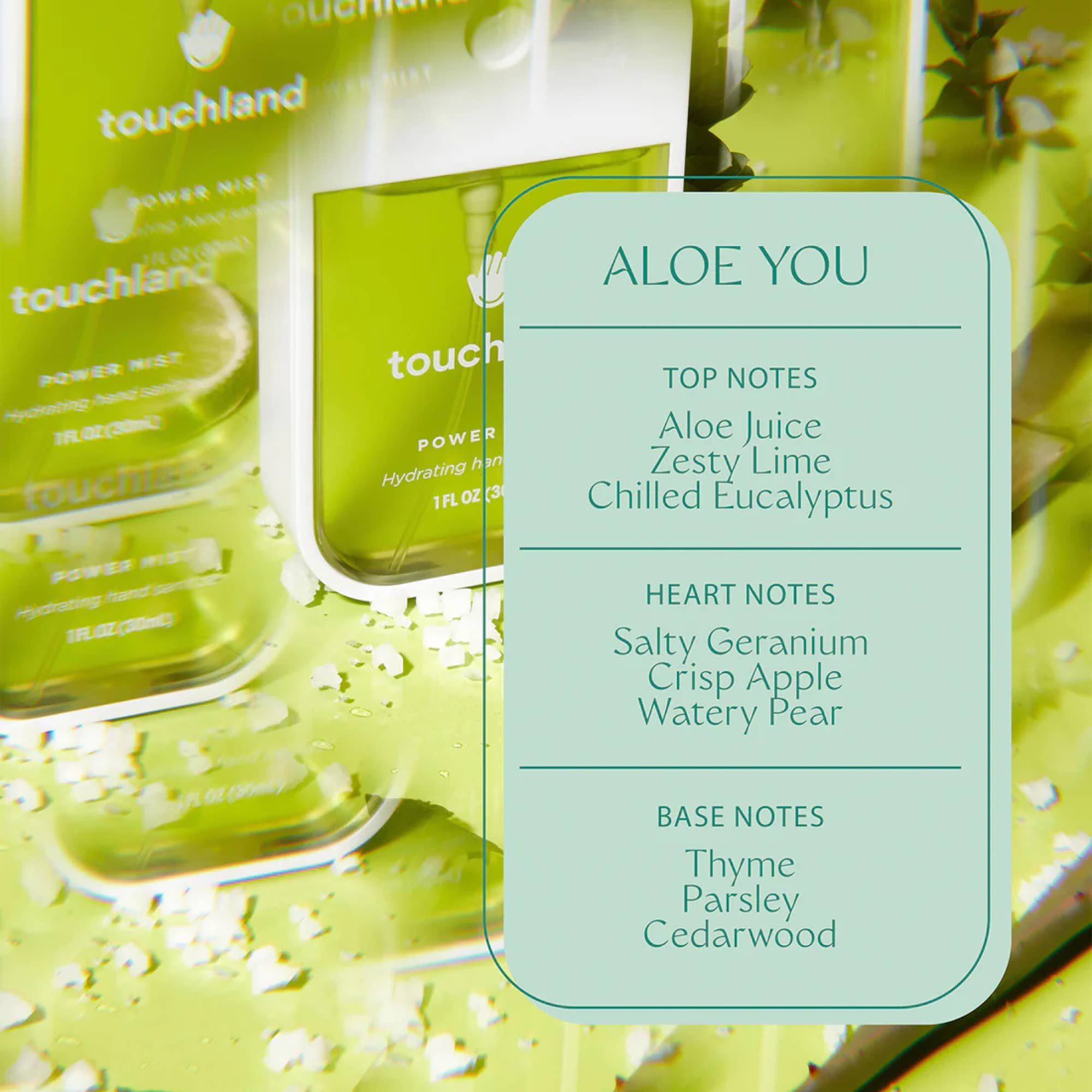 Touchland Power Mist Hand Sanitizer / Aloe You