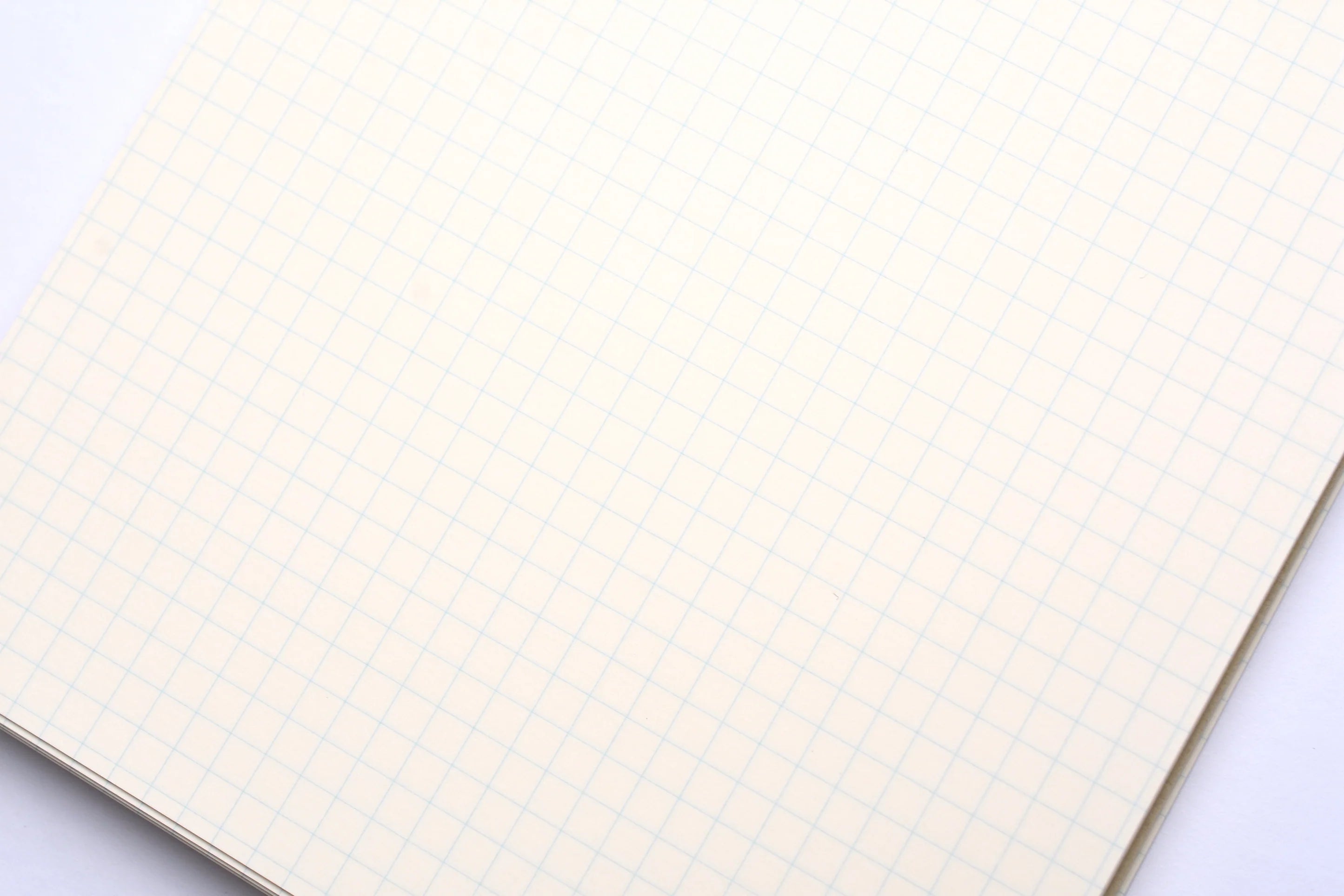 Life Stenographers' Notebook / Section (Grid)