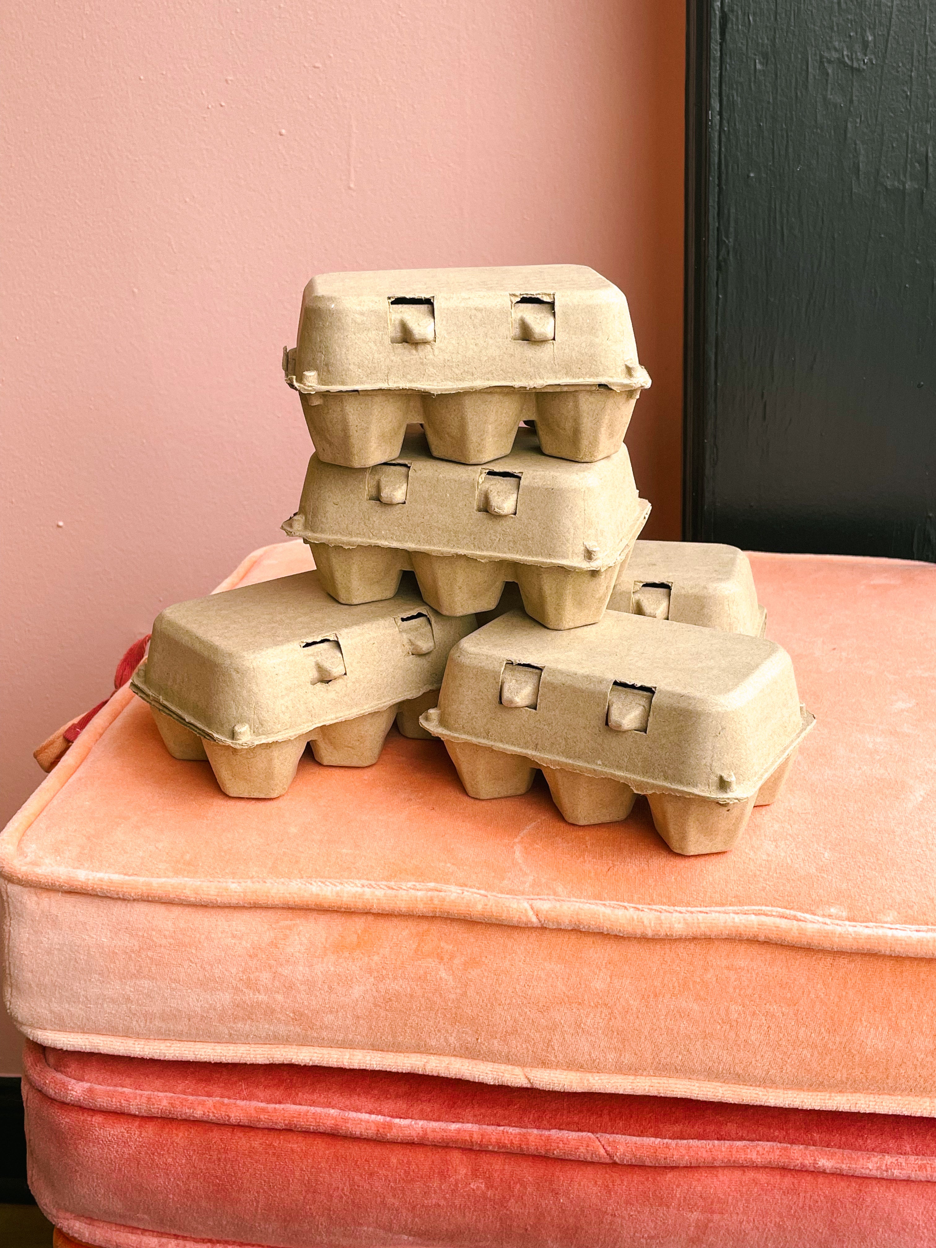 Paper Pulp Egg Carton / Natural