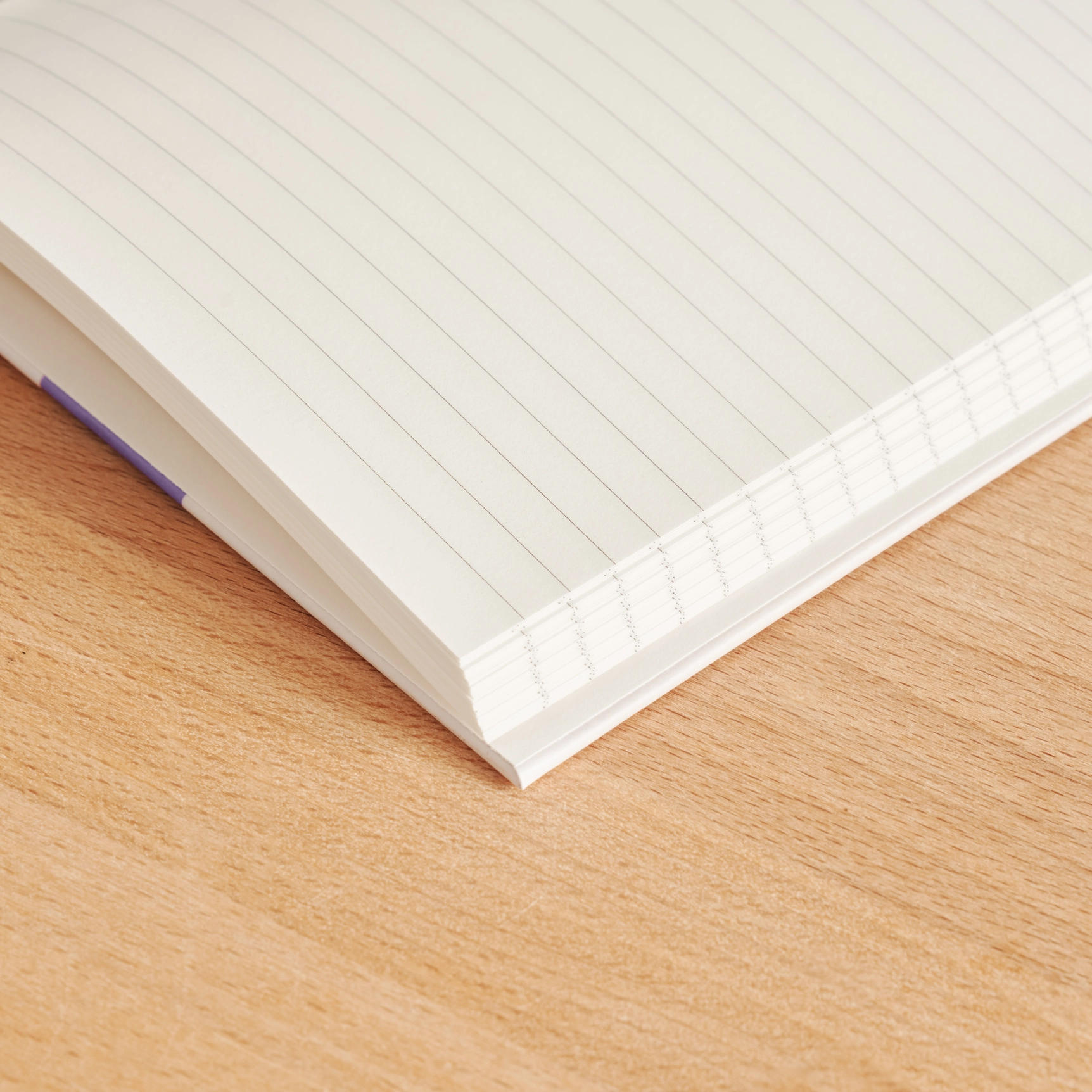 Beetles Lined Notebook