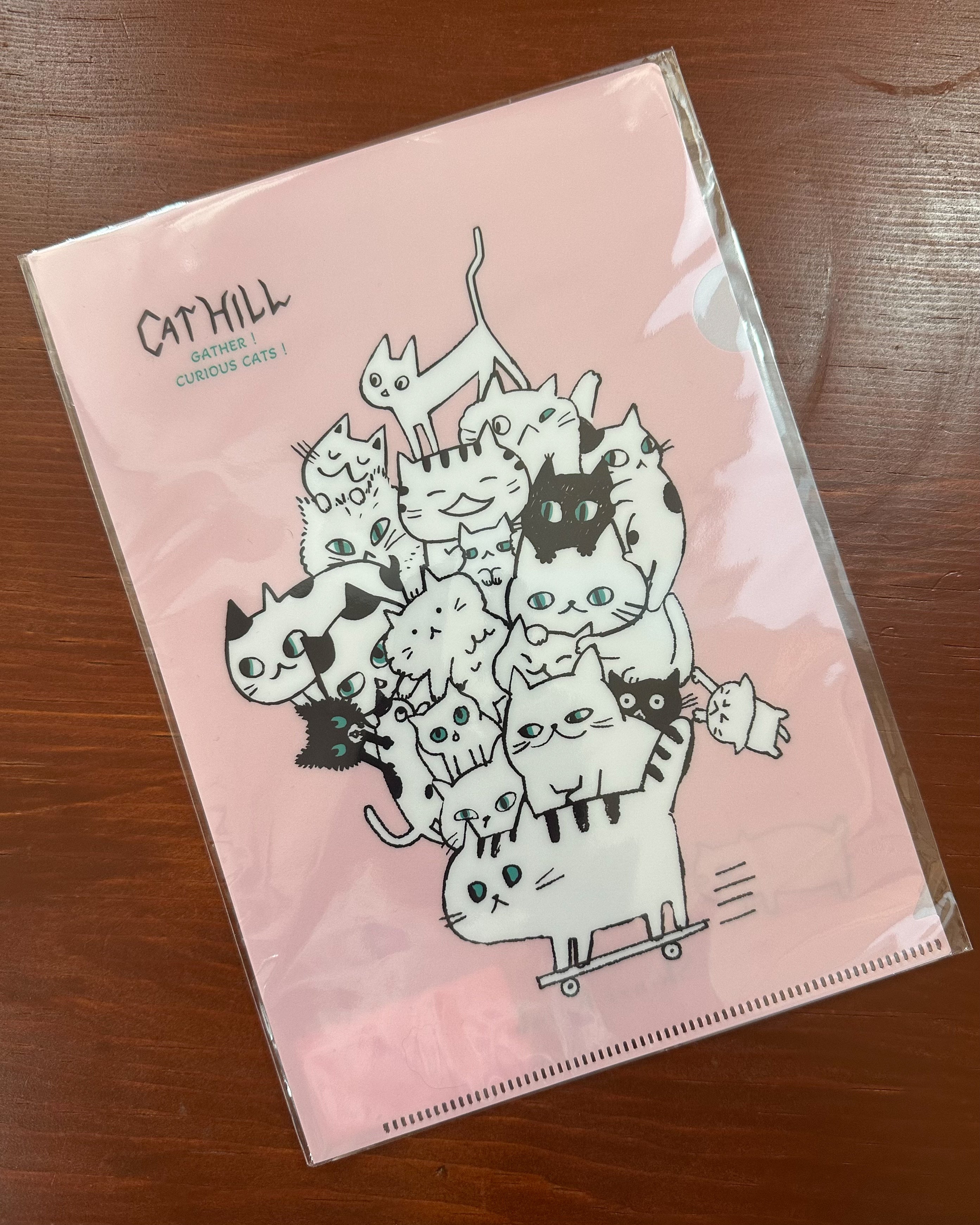 Shinzi Katoh A5 File / Cat Hill / Pink
