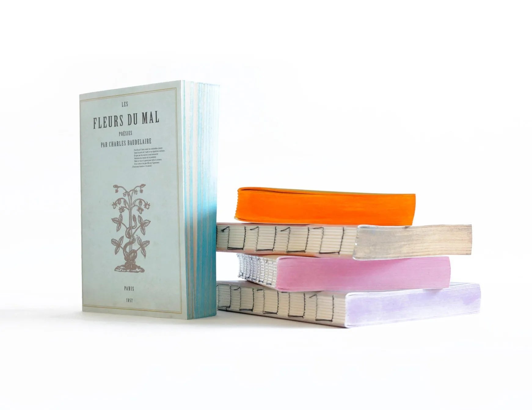 Libri Muti Journal: Alice’s Adventures