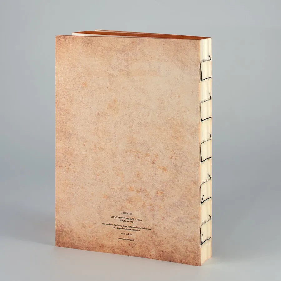 Libri Muti Journal: Madame Bovary