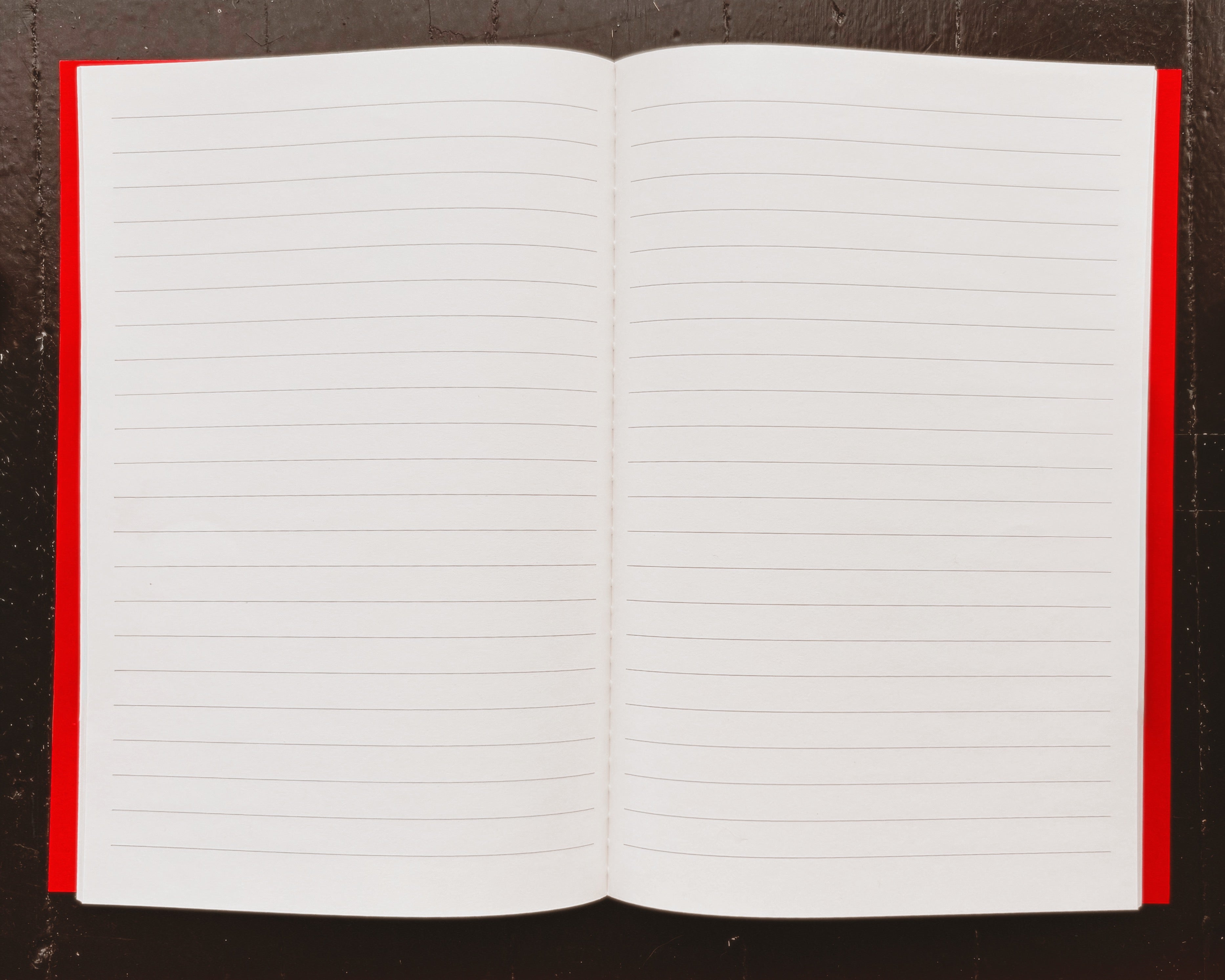 To Do ~ To Don't Notebook / Red