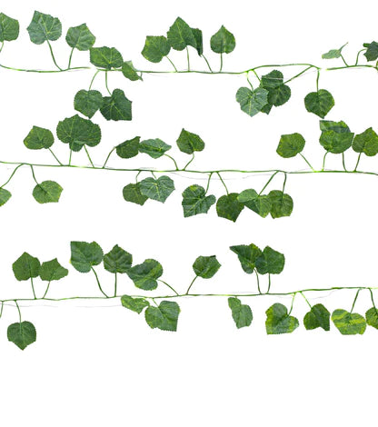 Ivy String Lights