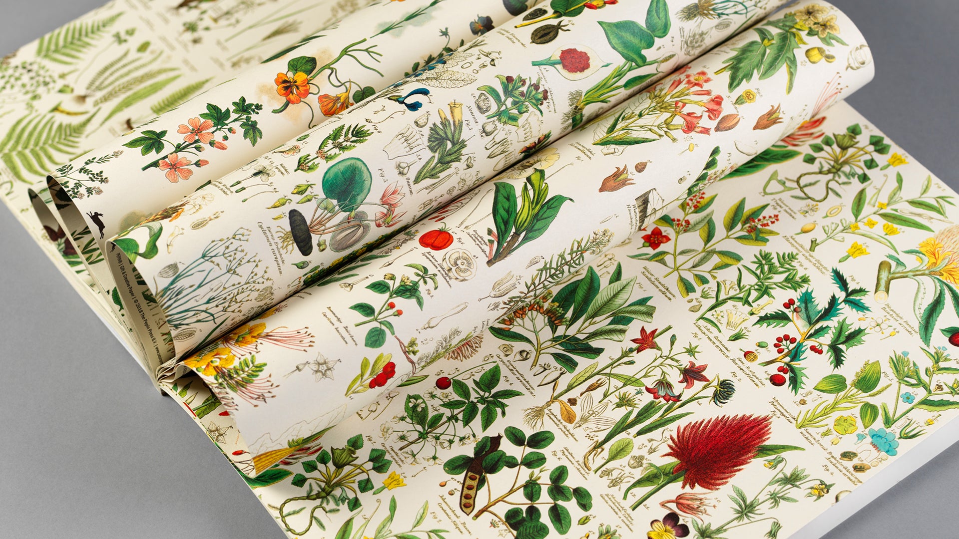 Gift Wrap and Creative Paper Book / Flora
