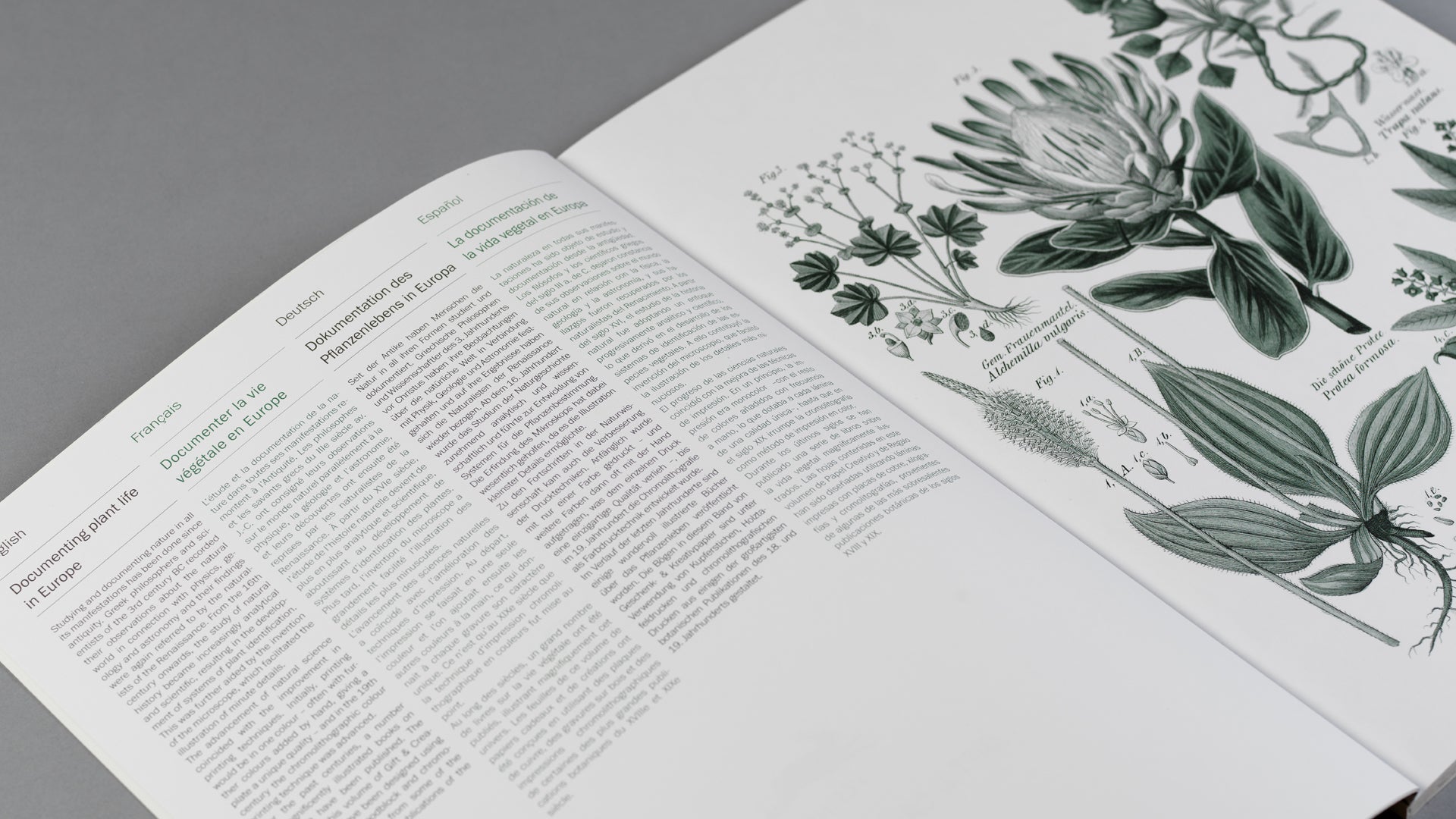 Gift Wrap and Creative Paper Book / Flora