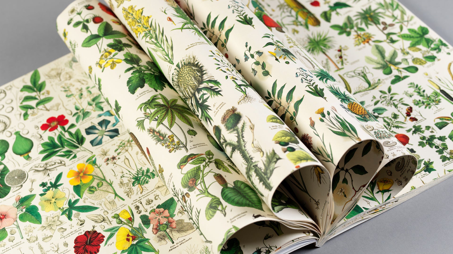 Gift Wrap and Creative Paper Book / Flora