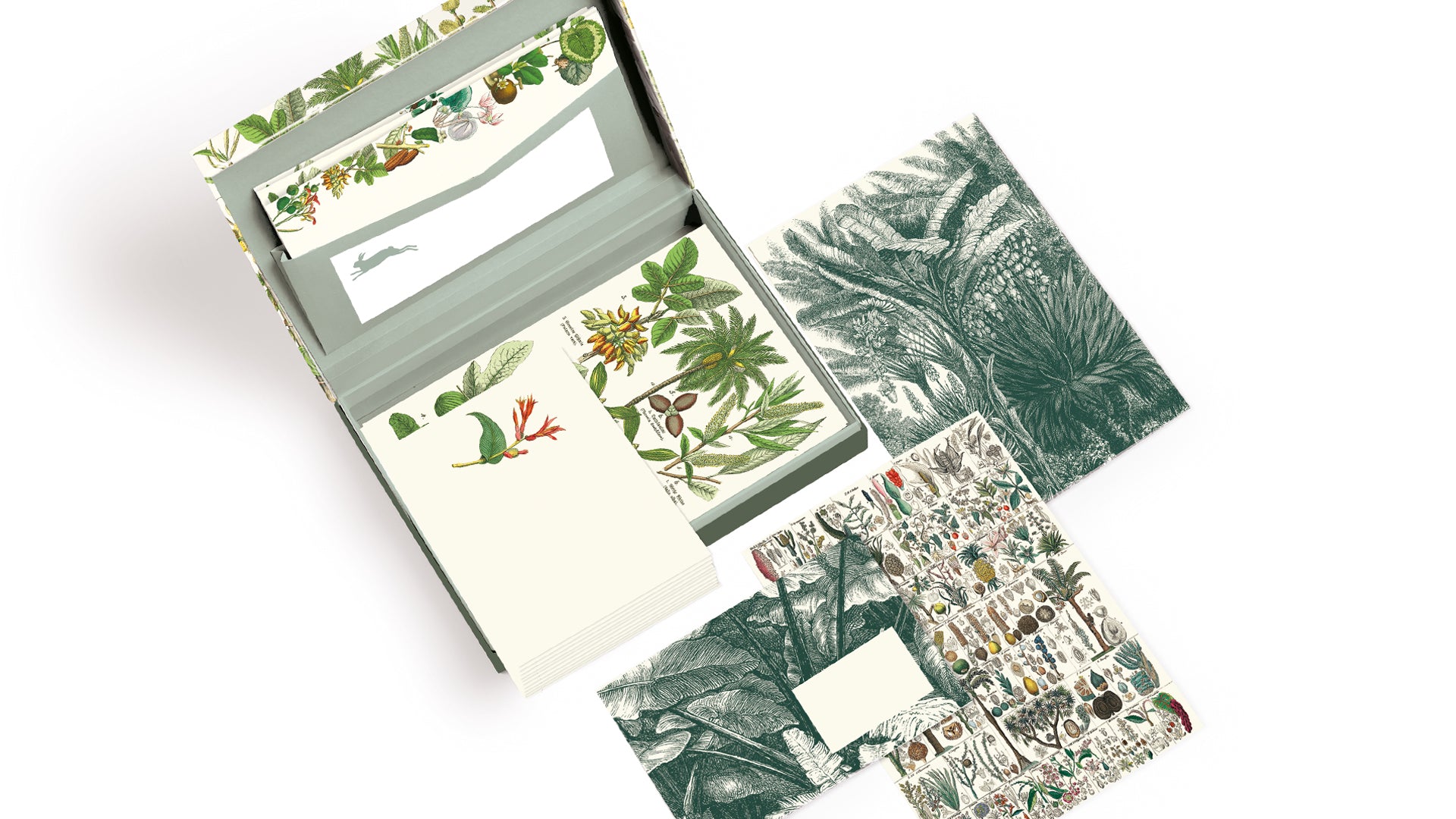 Letter Writing Set / Botanical