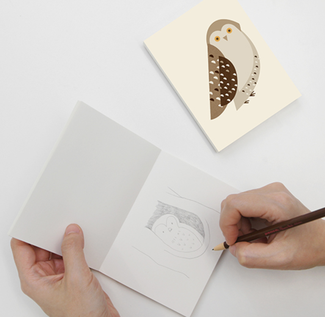 Nature's Friend Notebook / Owl