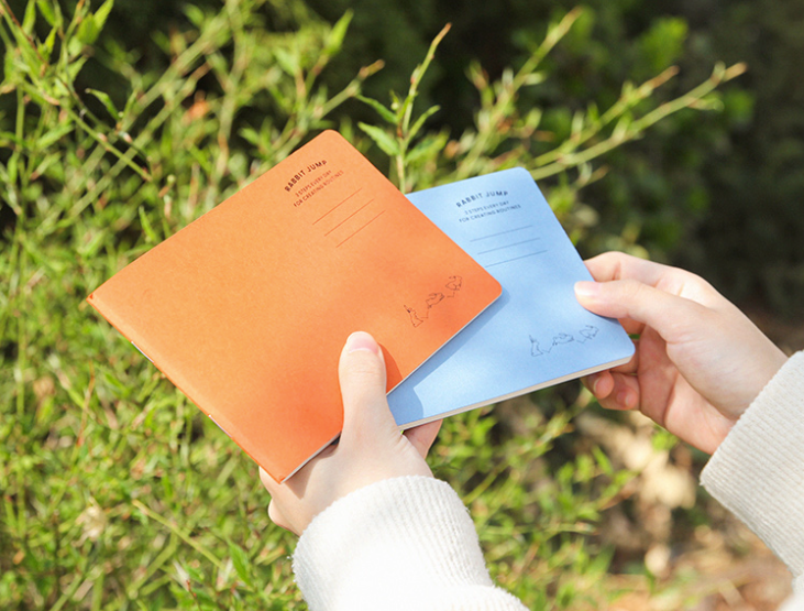 Rabbit 3-Step Routine Notebook