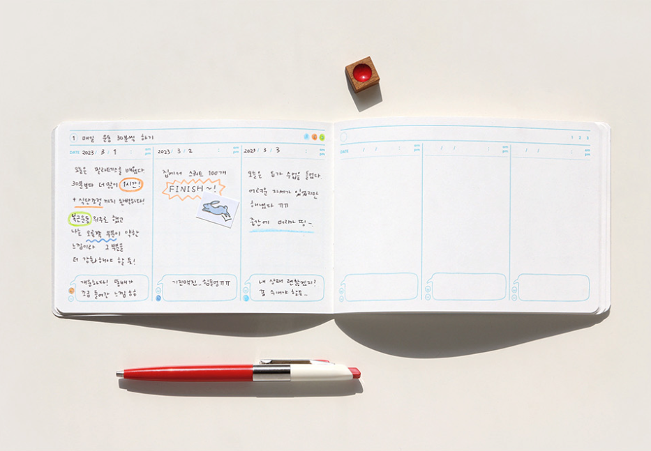 Rabbit 3-Step Routine Notebook