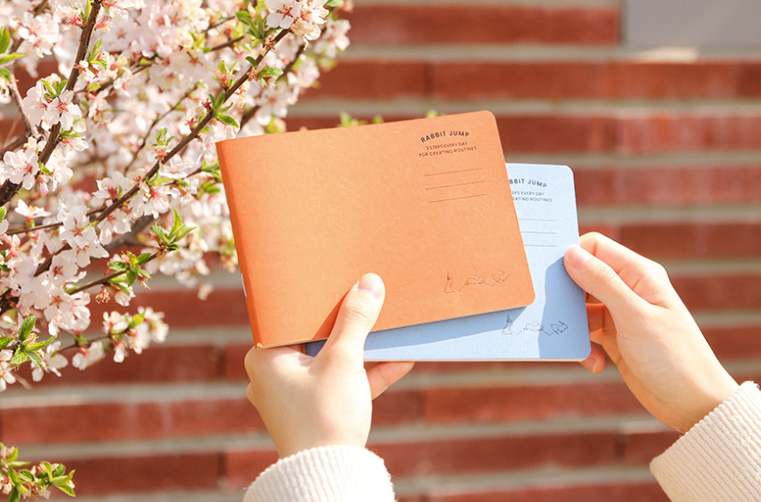 Rabbit 3-Step Routine Notebook