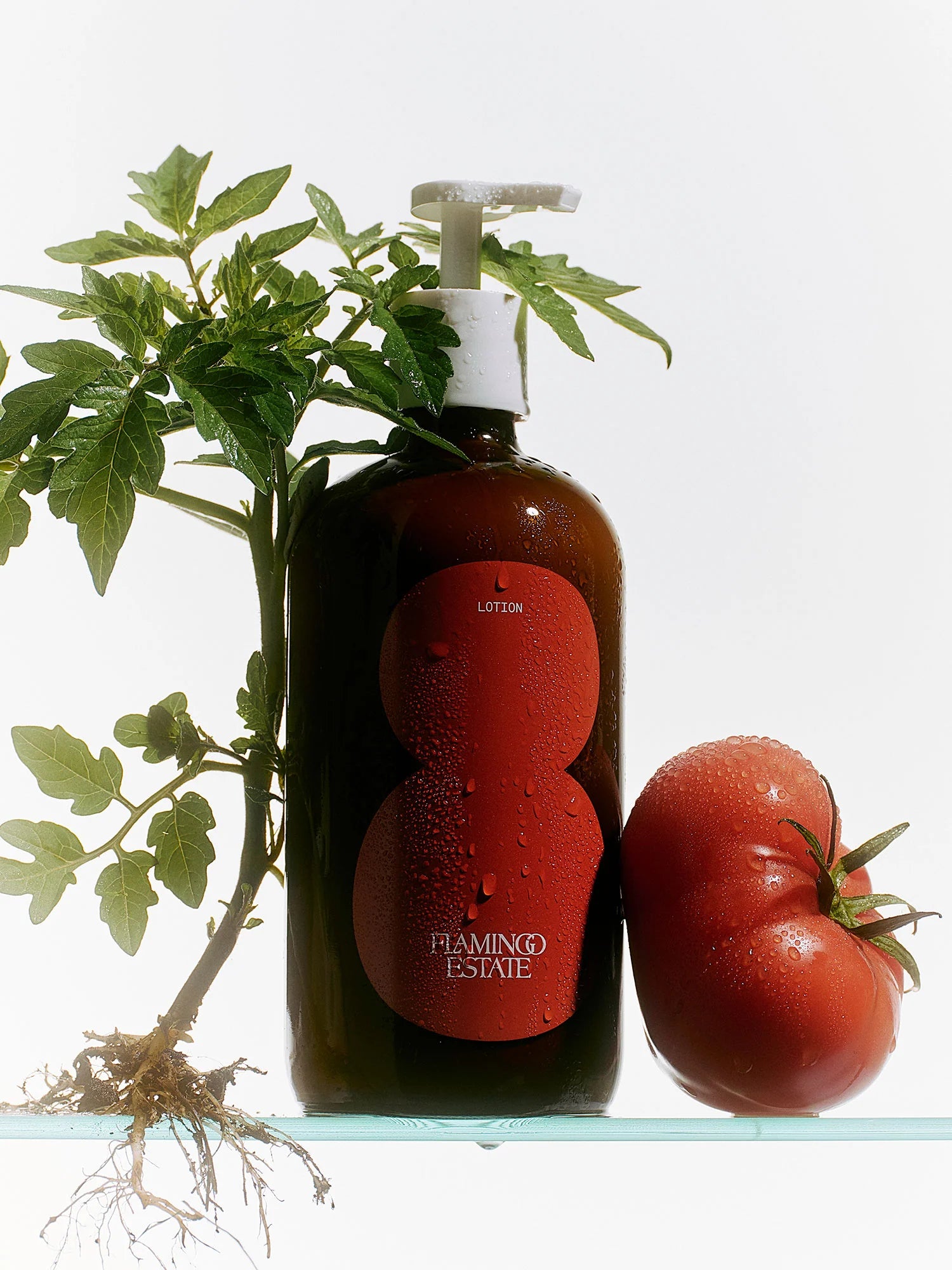 Roma Heirloom Tomato Body Lotion by Flamingo Estate