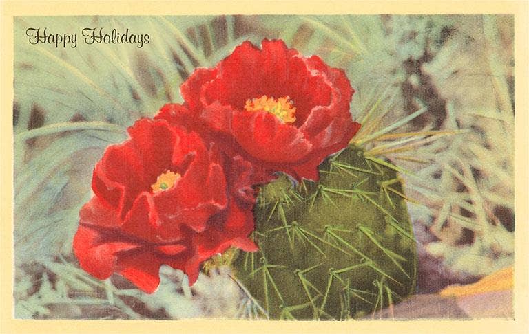 Blooming Cactus Holiday Postcard