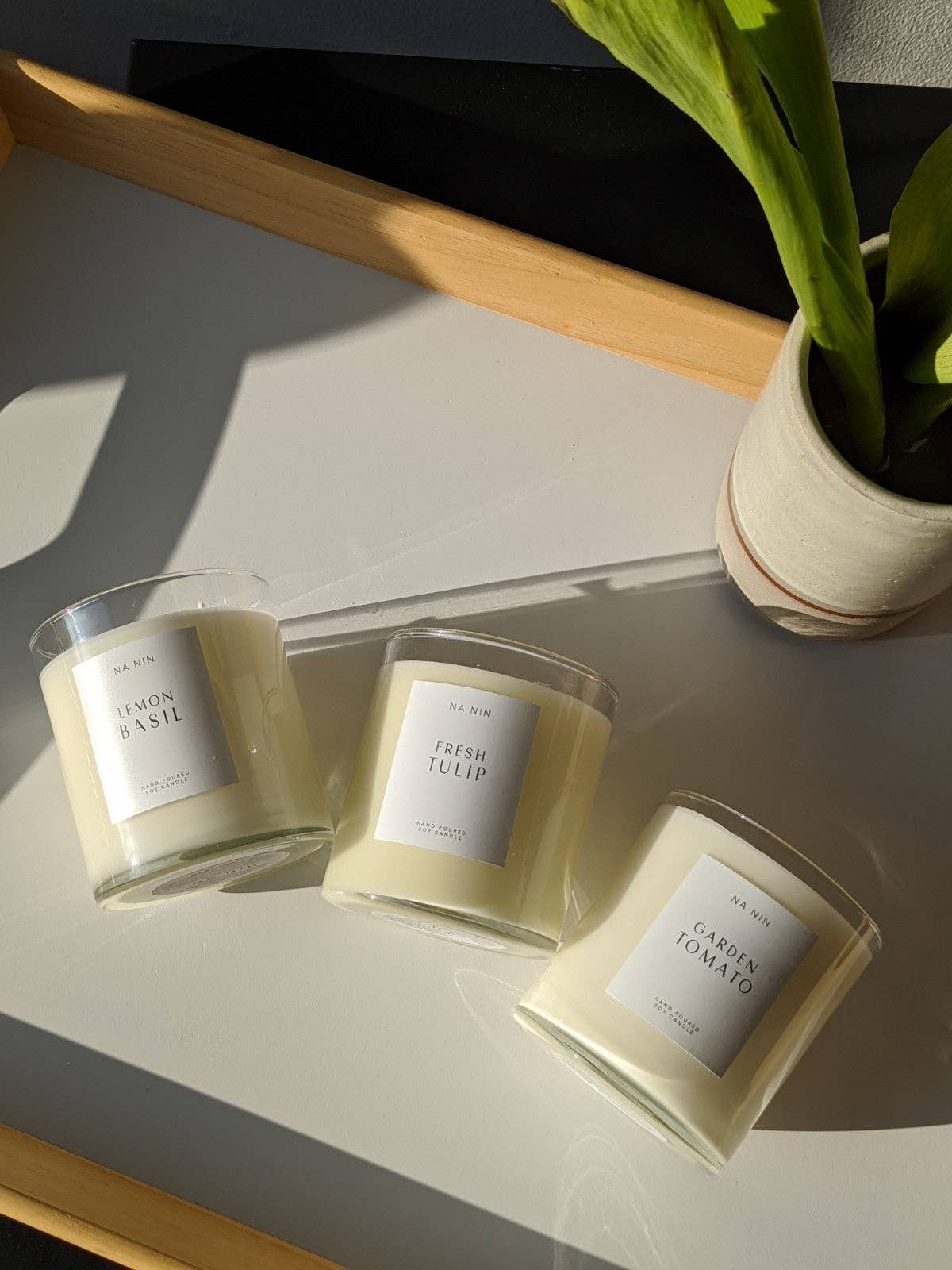 Lemon Basil Candle / 5oz