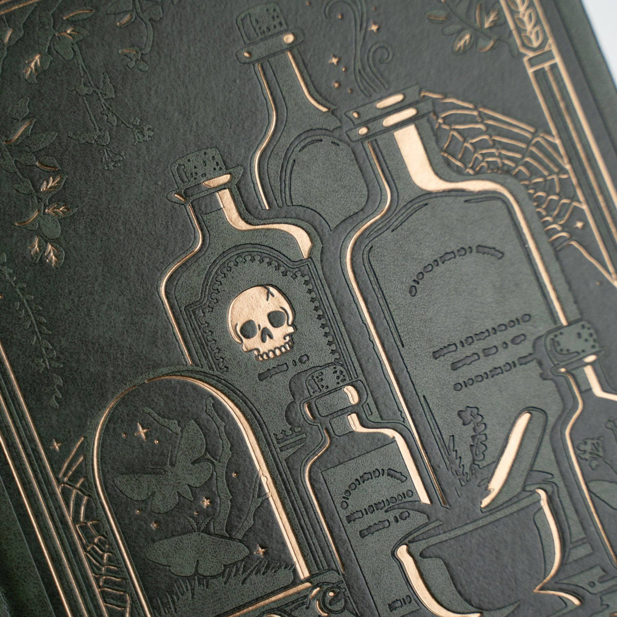 Apothecary Shelf Notebook / Dot Grid / A5