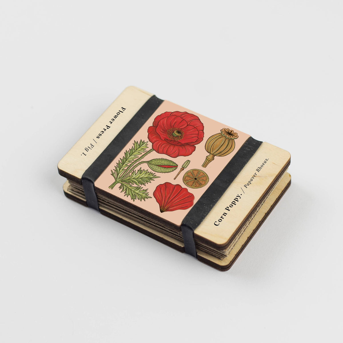 Pocket Flower Press / Vintage Corn Poppy