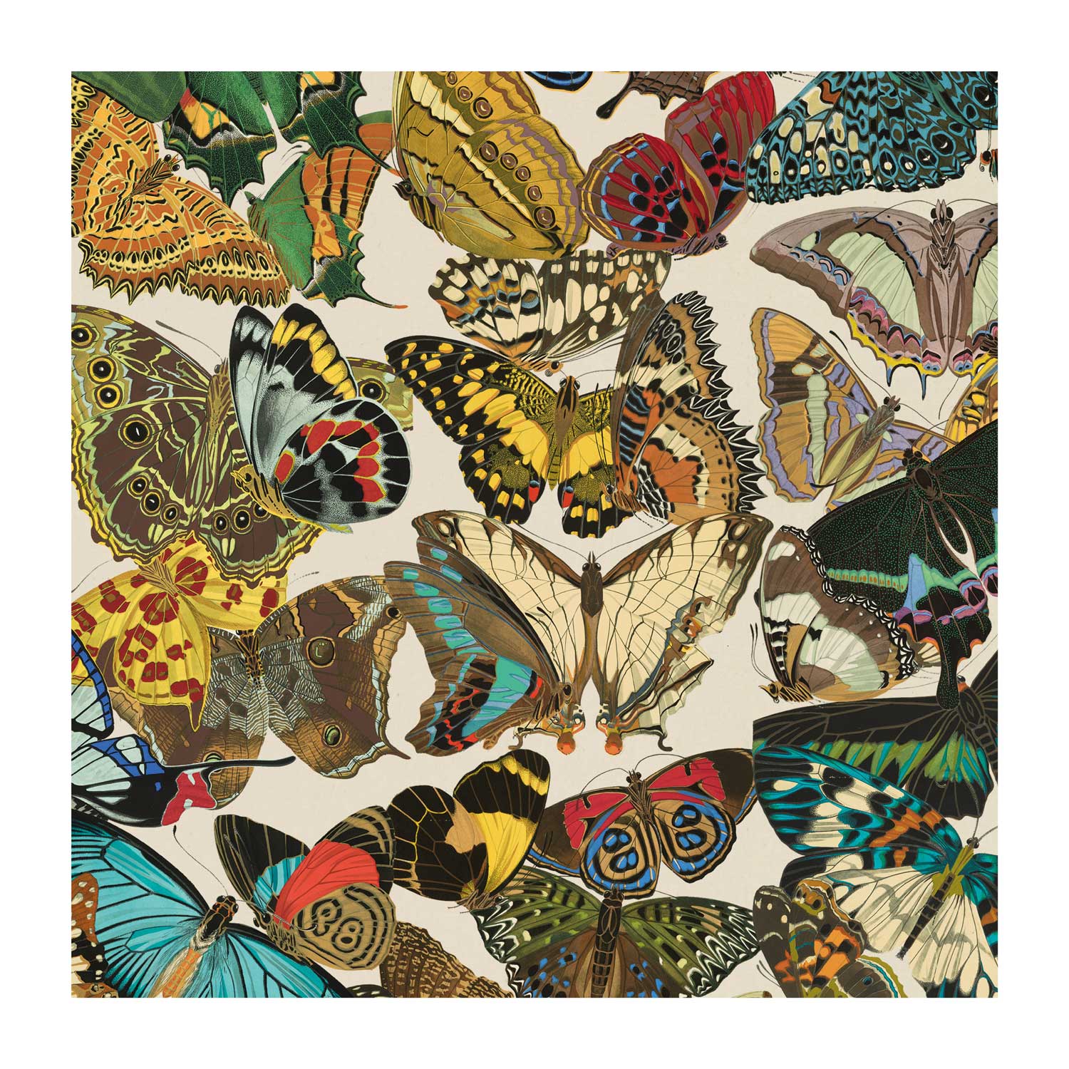 Butterflies Gift Wrap