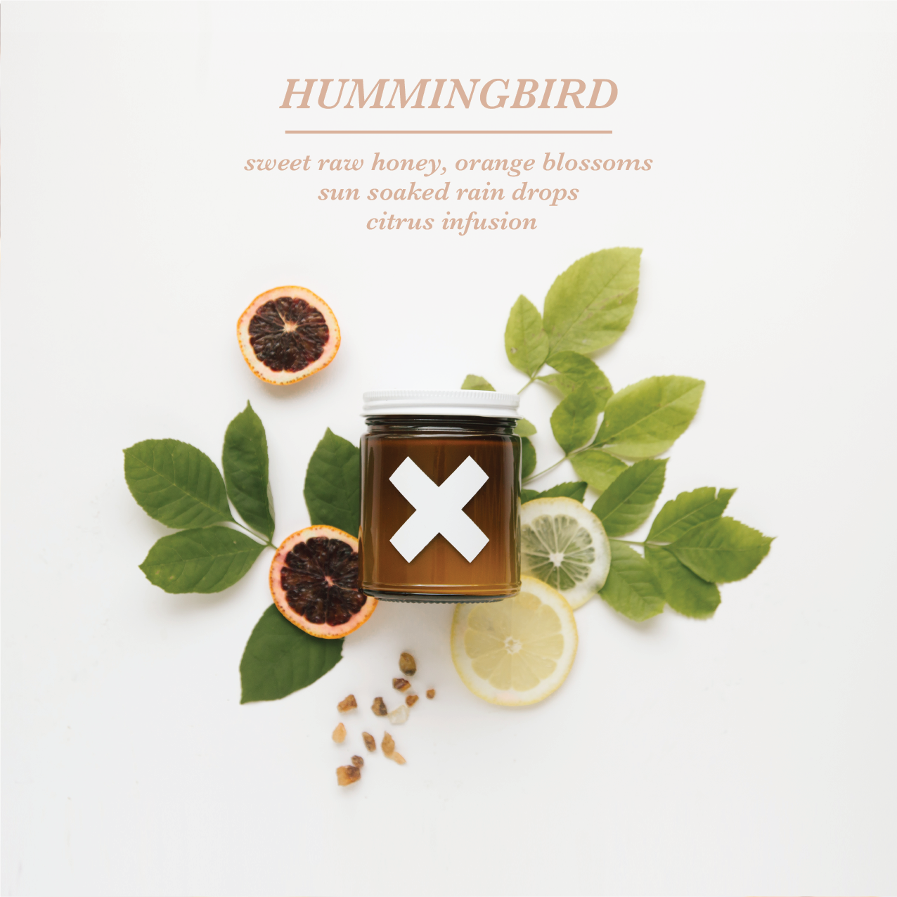 Hummingbird | Pure Soy Candle