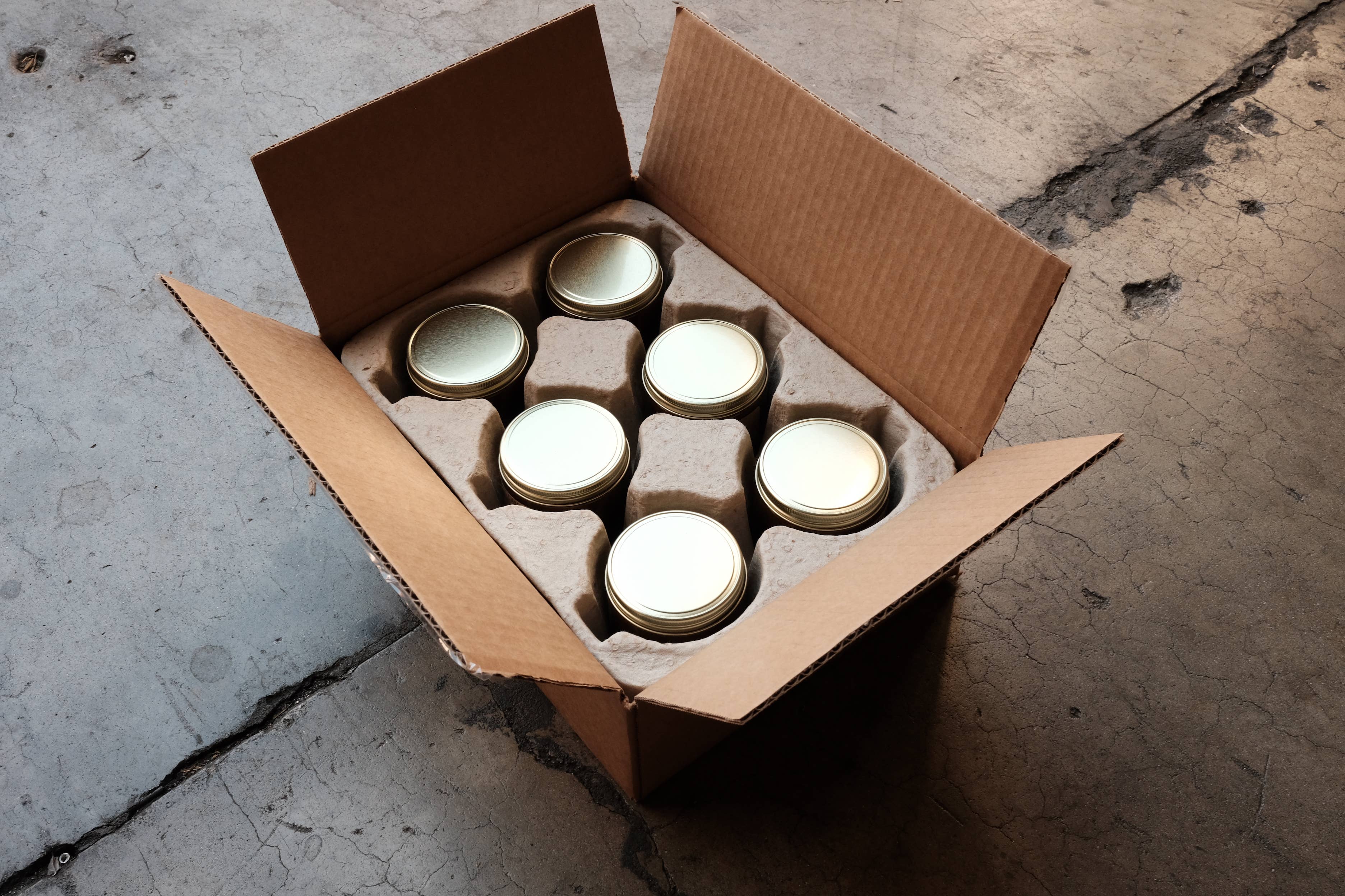 Golden Coast Candle / 7.2 oz